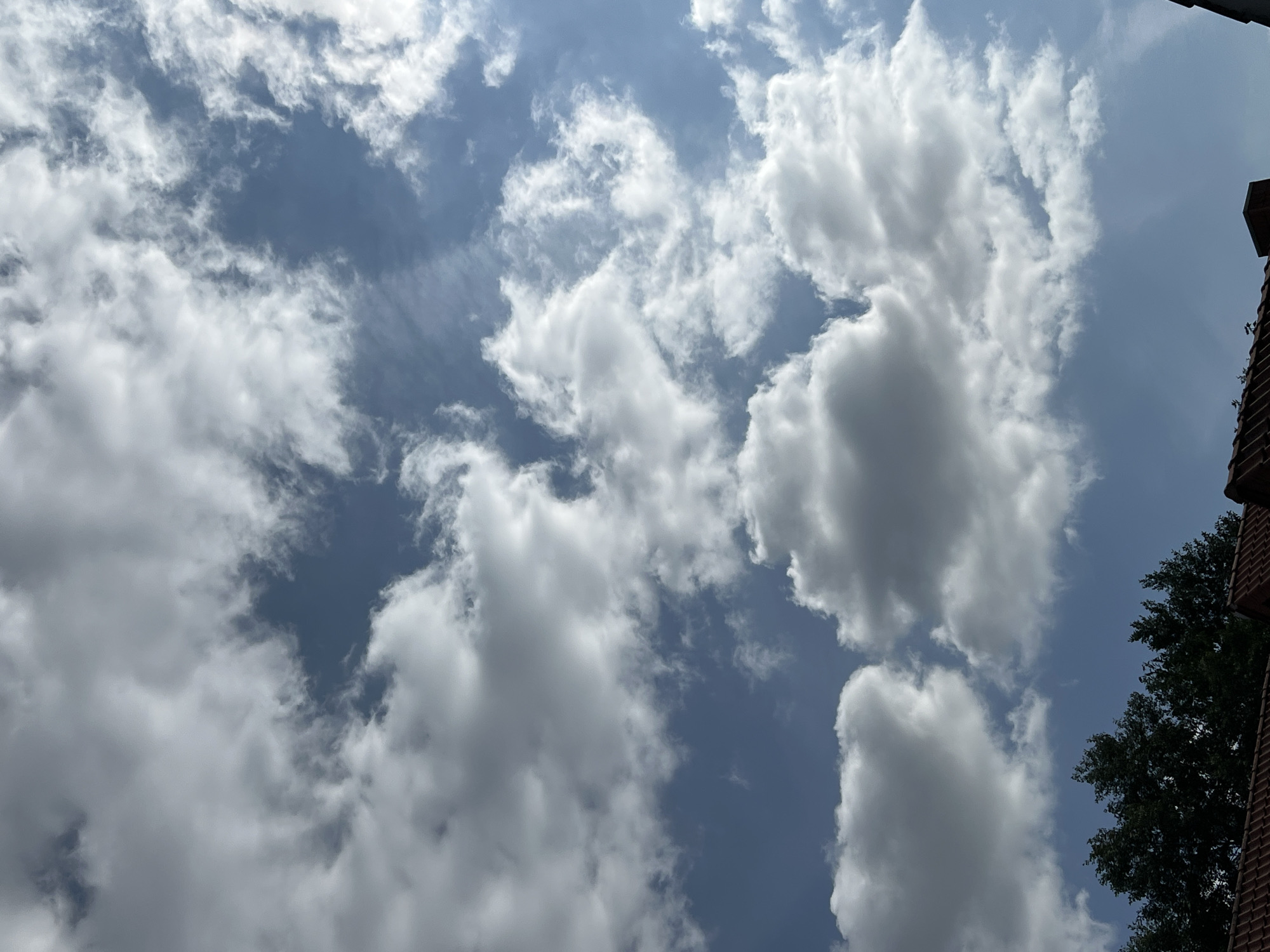 An upward shot of a blue sky filled with fluffy, white clouds. Sunlight filters through the clouds, creating variations in brightness and shadow. In the lower portion of the image, the dark green tops of trees are visible, with terracotta-colored rooftops of buildings peeking out from beneath them. The scene appears to be outdoors, in an urban or suburban environment.