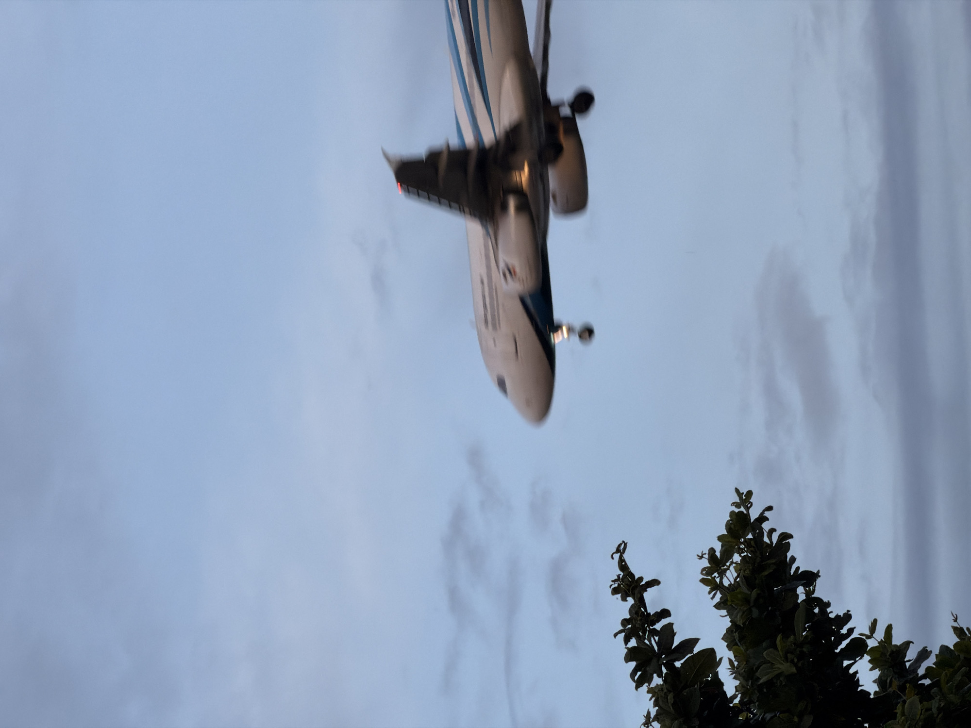 The image shows an airplane in flight against a cloudy sky. The airplane is white with blue stripes and is blurred due to motion. It appears to be descending, with landing gear extended. A dark green tree with visible leaves is in the foreground on the left side of the image. The sky is a pale blue with streaks of gray clouds. The scene is likely captured in Ko Samui District, Thailand, given the context.
