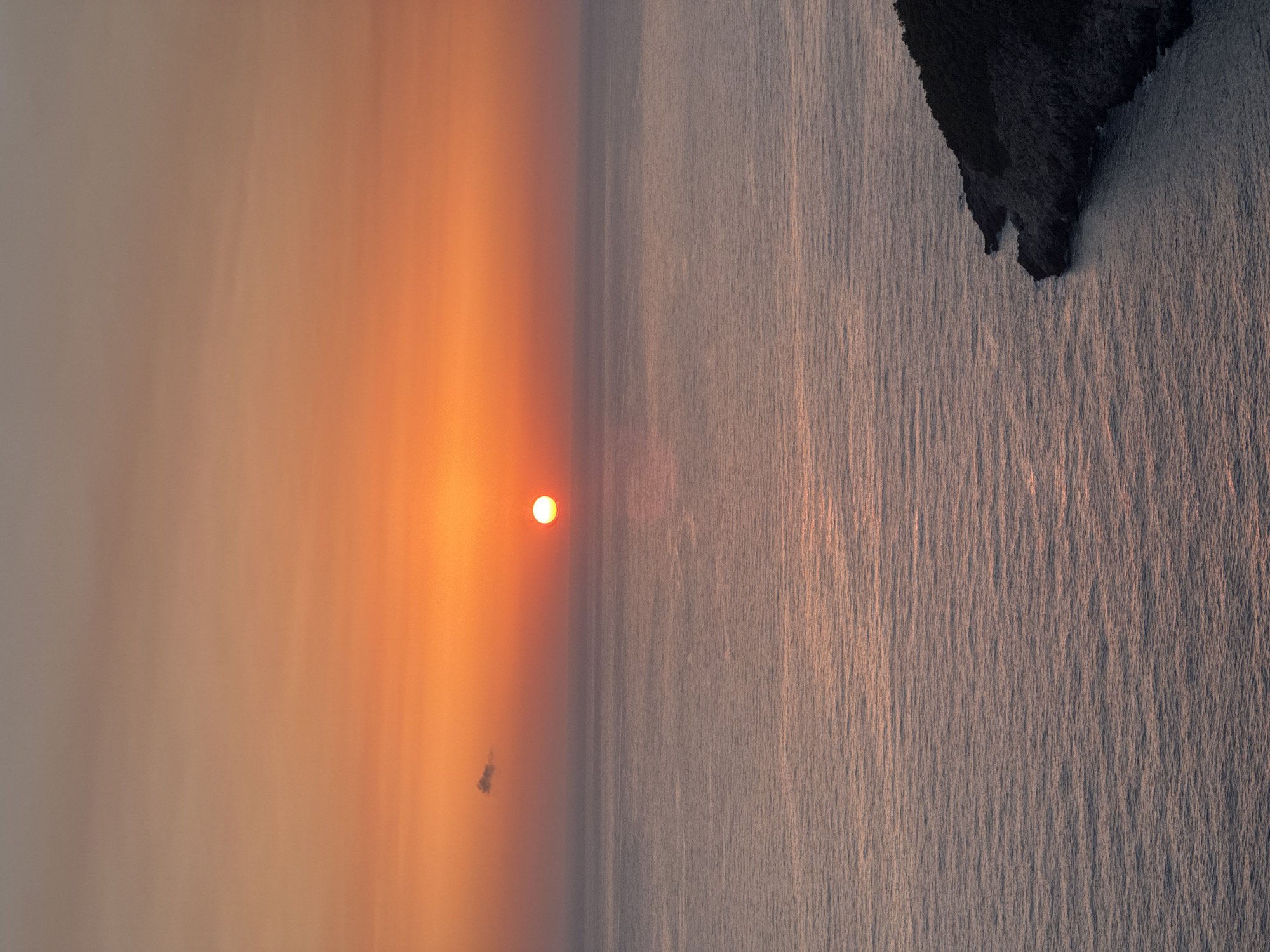 A sunset over the Adriatic Sea is captured from a high vantage point overlooking a rocky coastline. The sky transitions from a vibrant orange near the horizon to a soft peach and then a muted grey at the top of the frame. The sun, a bright, small disc, is setting on the horizon, casting a warm glow across the water. The sea is calm, with gentle ripples reflecting the colors of the sky. A dark, tree-covered promontory juts out into the sea on the right side of the image. The scene depicts a serene natural landscape without any human presence. The location is the city of Zagora, Montenegro.