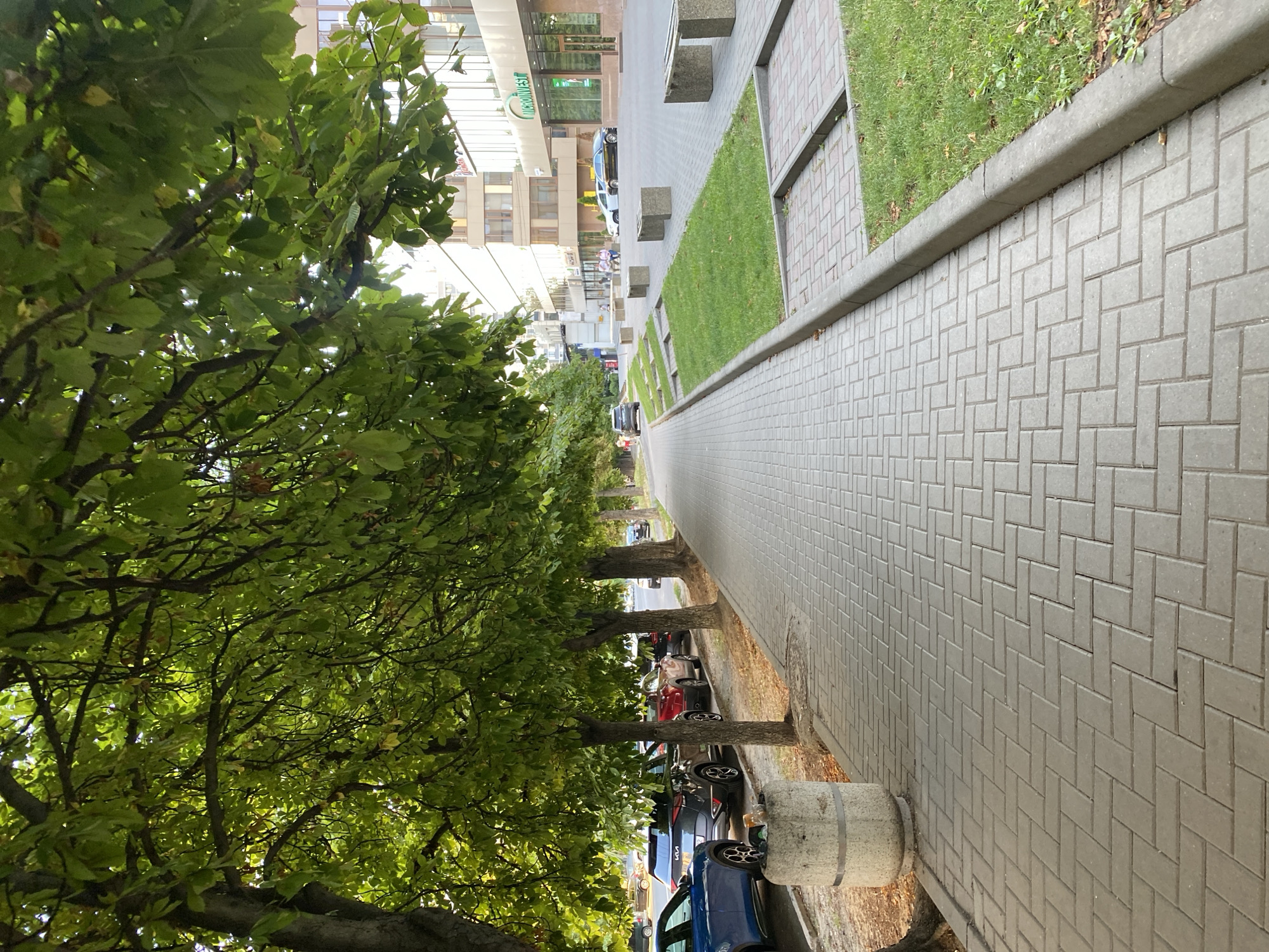 The image depicts a pedestrian sidewalk lined with trees along a city street in Chișinău, Moldova. The sidewalk is paved with grey interlocking bricks arranged in a herringbone pattern. On the left side of the sidewalk, cars are parked along the street, and a large concrete trash receptacle is visible. The trees overhead have lush green foliage, casting shadows on the sidewalk. Beyond the trees, modern buildings with glass facades line the street. A grassy area with concrete benches is situated to the right of the sidewalk, with more paving stones and greenery further on. In the distance, vehicles and a few pedestrians are present, indicating a typical urban scene. The lighting suggests it is daytime, likely late afternoon given the long shadows.