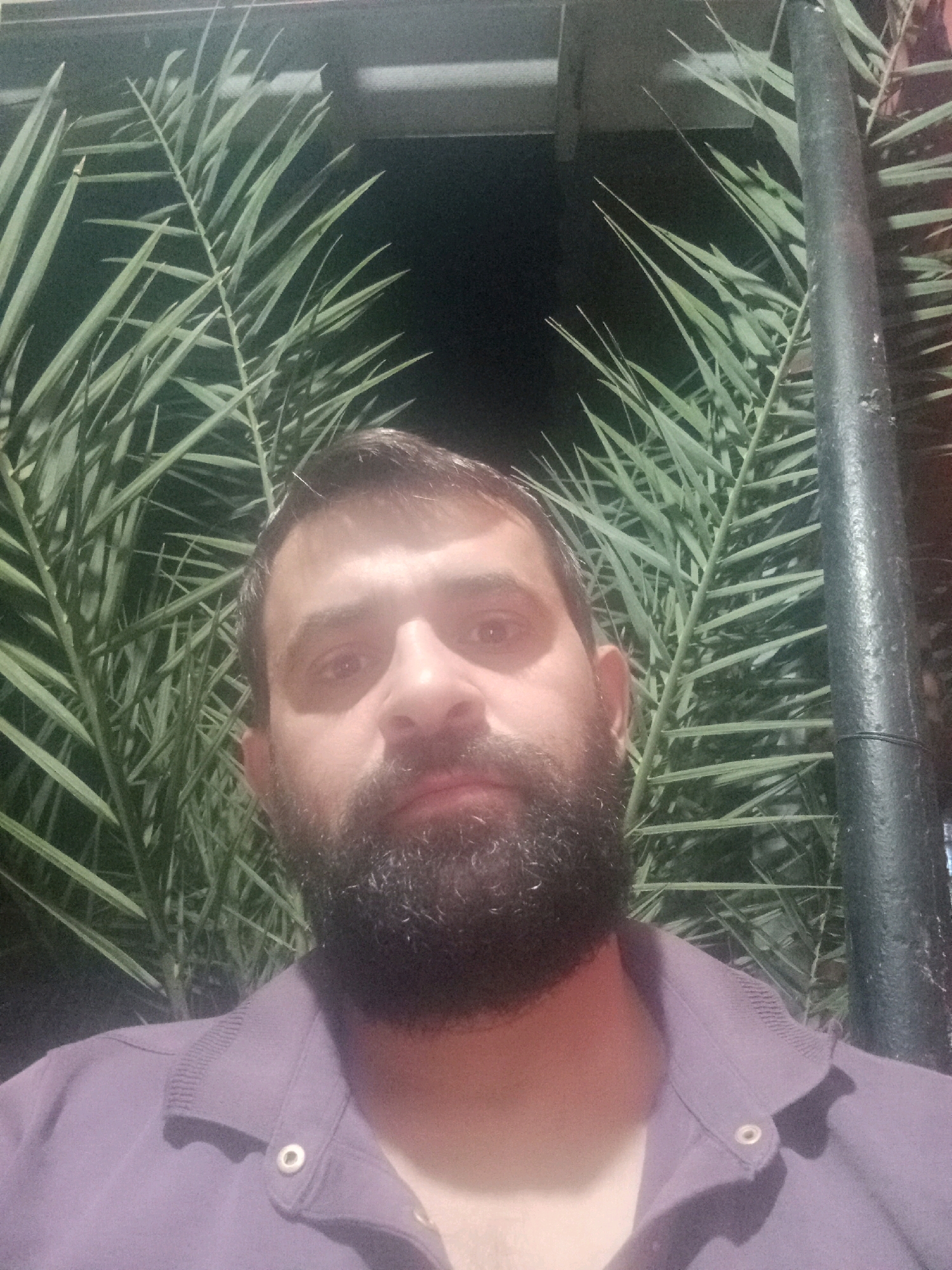A man with a beard is captured in a close-up, selfie-style shot. He is wearing a purple collared shirt. The background is dominated by the fronds of a palm tree, with a dark, possibly night sky behind them. A portion of a dark, cylindrical object, possibly a pole, is visible on the right side of the frame. The lighting suggests an outdoor setting at night. The location is specified as Parça Xələc, Azerbaijan.