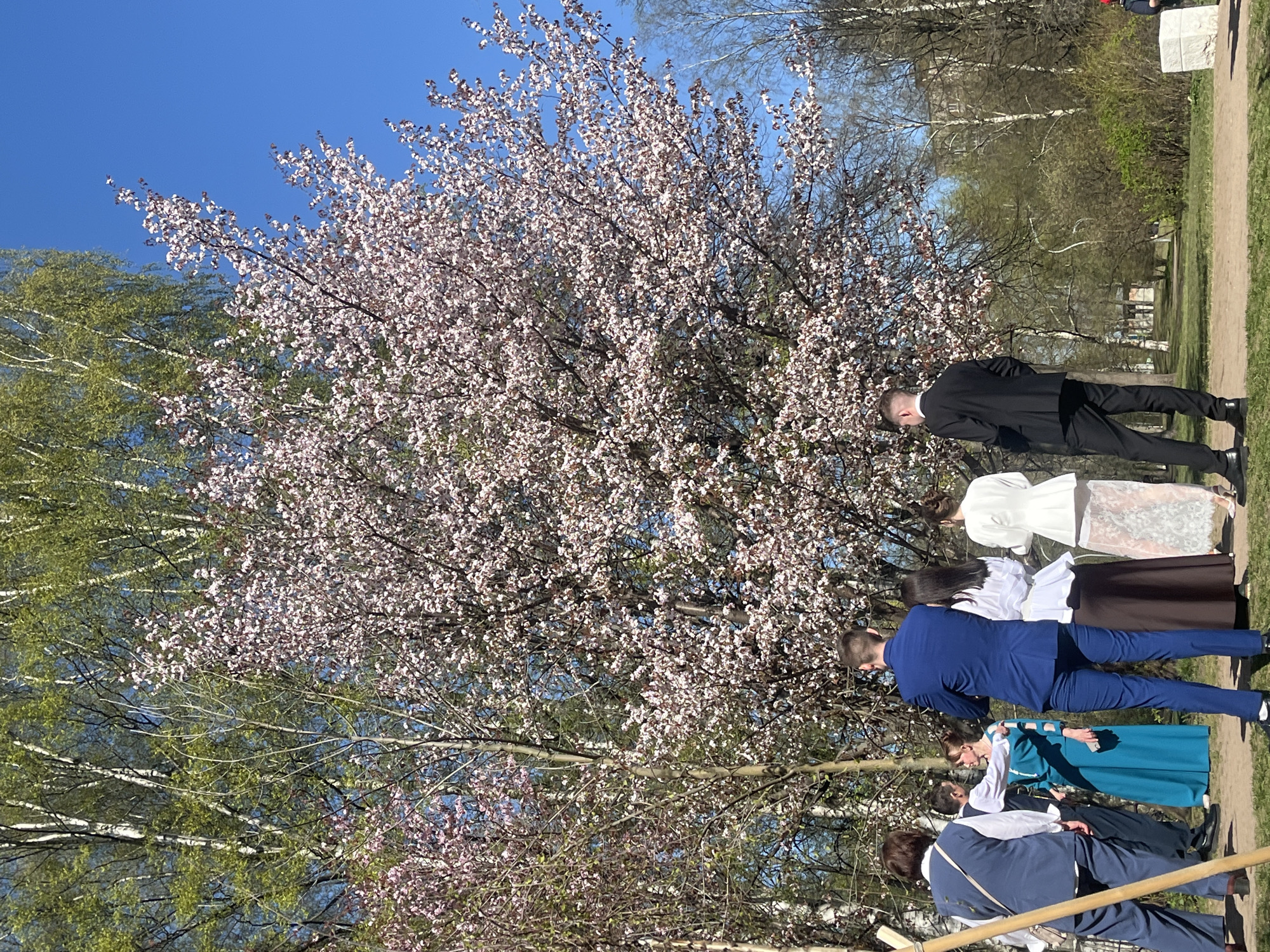 The image shows a group of people standing under a large tree in bloom on a bright, sunny day. The sky is clear and blue.
Several individuals are visible, dressed in a variety of formal and semi-formal attire. A man in a black suit stands at the upper right, while a woman in a white top and brown skirt is next to him. Further down, there's a person in a blue suit and a woman in a teal dress.
The tree is heavily laden with pink blossoms. Other trees with green leaves can be seen in the background. The ground appears to be grassy, with a walking path nearby. The location is possibly in a park or garden, based on the natural surroundings.
The city and exact location are unknown, as no distinct landmarks are visible.