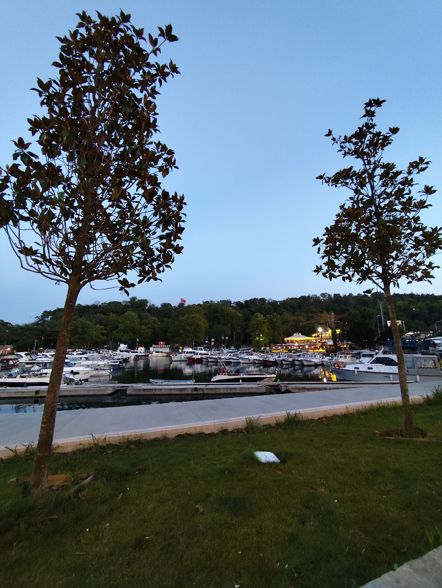 The image depicts a marina in Sarıyer, Turkey, at dusk. Two trees frame the view of a calm body of water filled with numerous docked boats of varying sizes. In the background, a tree-covered hillside rises, topped with buildings illuminated by warm lights, suggesting a populated area. A Turkish flag is visible flying on the hillside. The sky is a clear, pale blue, indicative of twilight. The foreground shows a strip of green grass, some of which appears slightly unkempt, with a few scattered white objects, possibly litter, on the lawn. A concrete walkway runs along the edge of the marina, separating the grass from the water. No people are clearly visible in the scene.