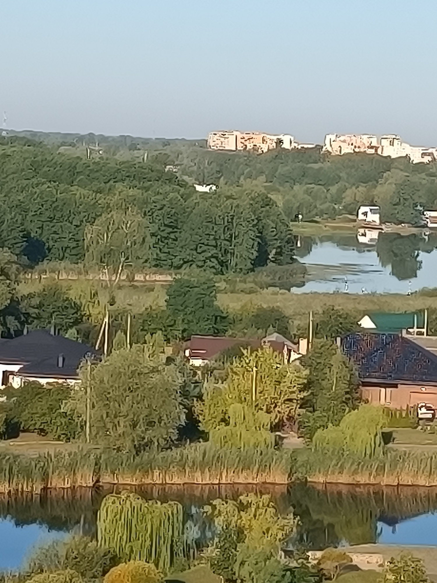 A wide-angle aerial view captures a sunlit suburban landscape in Brest, Belarus, characterized by a tranquil lake, lush greenery, and residential structures. The foreground features the reflective surface of a body of water, bordered by dense reeds and weeping willow trees. Beyond the water, several houses with dark roofs and lighter colored walls are visible. A prominent house with a dark, pitched roof and white walls is situated on the left, while another brick house with a dark tiled roof and white trim is on the right. The midground reveals a verdant expanse of trees, interspersed with smaller bodies of water, including a canal. In the distance, on the horizon, a cluster of multi-story buildings, likely apartment complexes, are silhouetted against a clear blue sky. The overall impression is one of a peaceful, semi-rural setting within the outskirts of Brest.