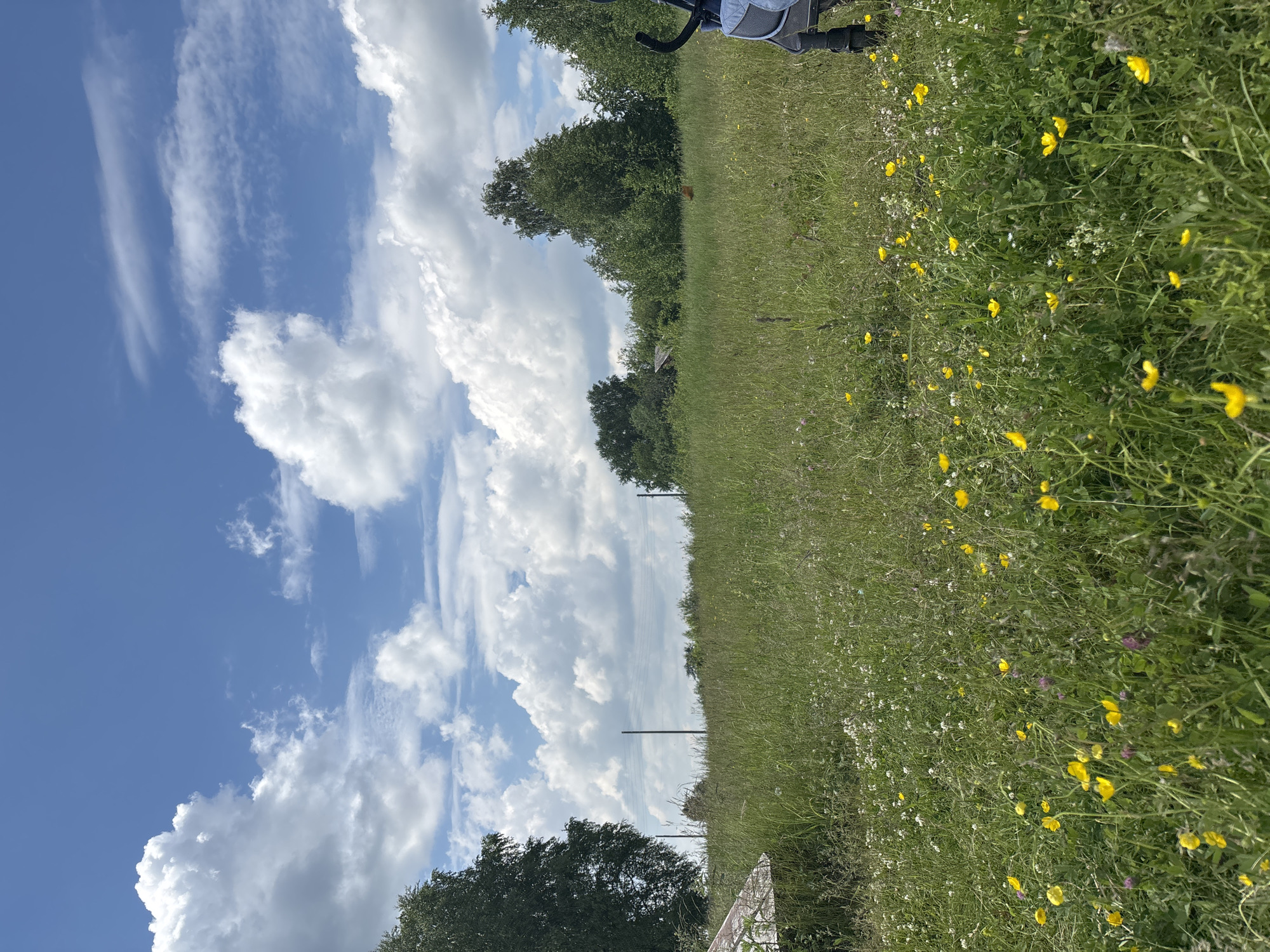 The image depicts a sunny day with a partly cloudy sky over a grassy field in the city of Kurgan, Russia. The field is populated with abundant green grass and scattered yellow and white wildflowers. In the foreground, a portion of a blue stroller is visible on the right side of the frame. In the background, there are several trees and what appears to be a small, dilapidated wooden structure. Two utility poles are also visible in the middle ground. The overall impression is of a rural or semi-rural outdoor setting on a pleasant day.