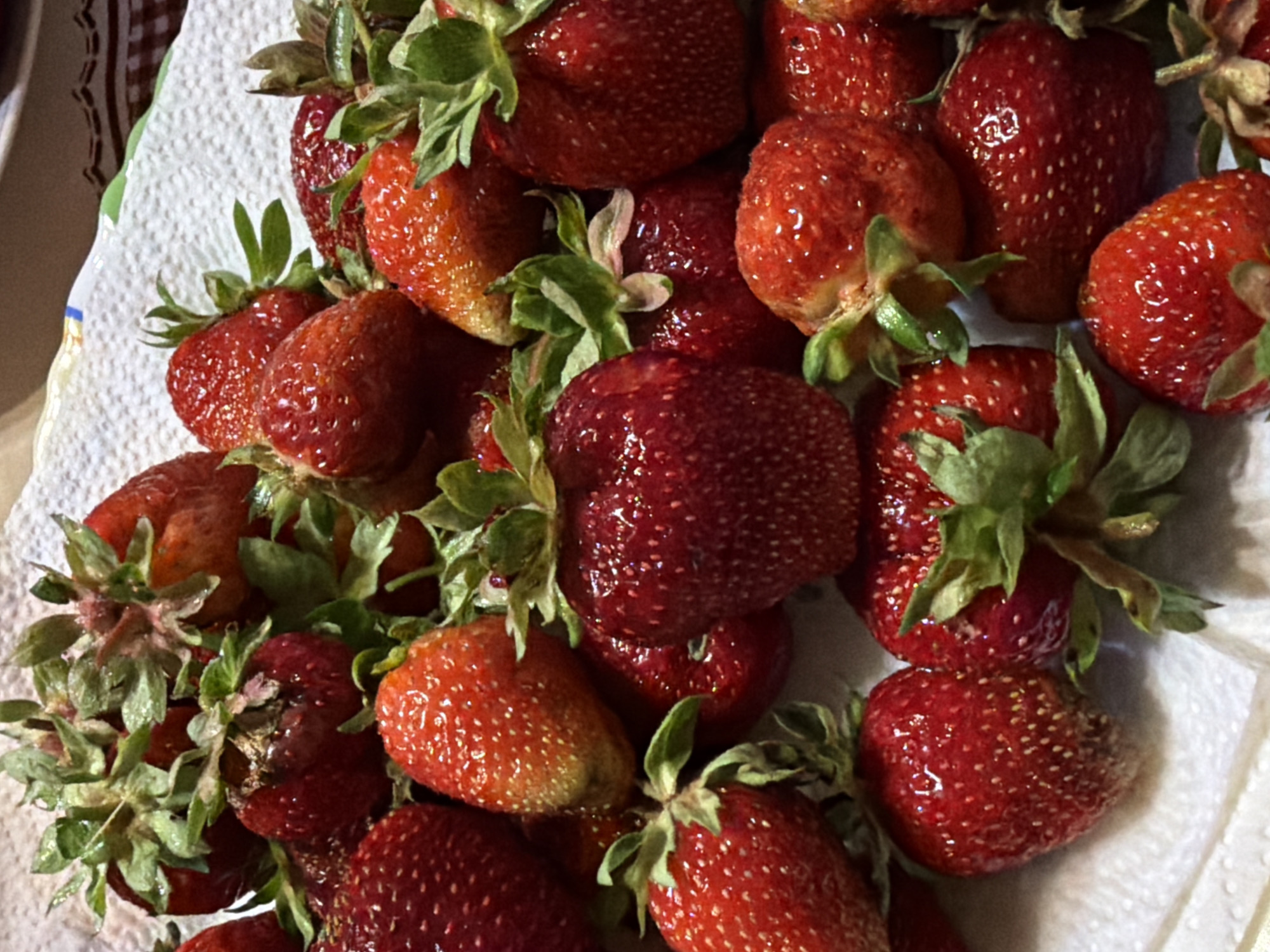 This is a close-up, overhead shot of a pile of fresh, ripe strawberries. The strawberries are a vibrant red color, with some having a slightly lighter, orange-red hue. They are clustered together on a white, textured surface that appears to be a paper towel or napkin. The leaves of the strawberries are green and some are slightly wilted, indicating they are recently picked. The lighting suggests this is an indoor setting, likely a kitchen or dining area, and there is no indication of the time of day or weather. There is no text visible in the image. The focus is entirely on the strawberries, highlighting their fresh, natural beauty and texture. The scene is simple and focuses on the fruit, creating an inviting and appetizing visual.