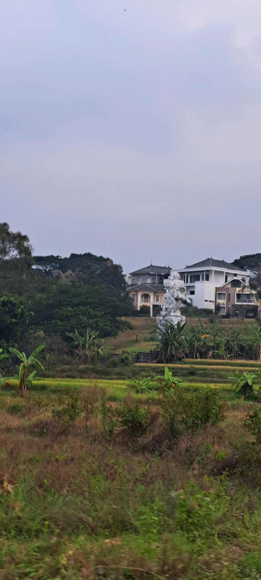 The image depicts a rural landscape, likely near Bulukandang, Indonesia, showcasing a blend of natural elements and human structures. In the foreground, a field of dry, brown grass and some green vegetation suggests a somewhat parched or dry season. Behind this, a paddy field with patches of green rice crops is visible, indicating ongoing cultivation. Scattered banana trees with their broad leaves are interspersed throughout the middle ground, adding a tropical feel.
Further back, a dense cluster of dark green trees forms a natural backdrop. Emerging from behind this foliage are several modern houses with distinct architectural styles. One house, partially obscured by trees, appears to be a lighter color with an arched entryway. Another, a more prominent white structure with a dark roof, features multiple levels and windows. Between these houses, a large, abstract white sculpture, possibly made of stone or concrete, stands tall. Its intricate, somewhat chaotic form contrasts with the clean lines of the buildings. The sky above is overcast with a pale, hazy blue and white, with a tiny dark object, possibly a kite or a bird, visible in the upper portion of the frame. The overall impression is one of a serene, semi-rural setting where nature and modern architecture coexist.