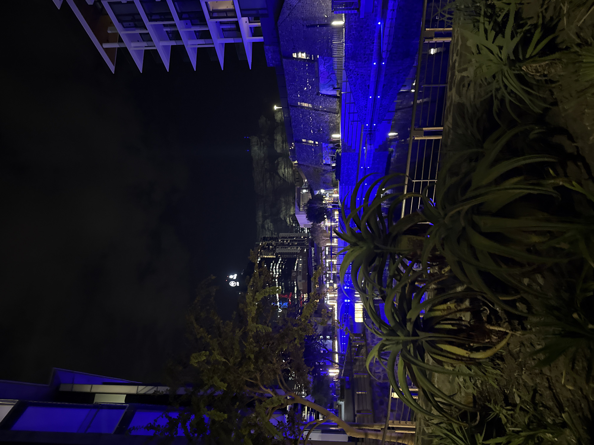 The image shows a night view in Cape Town, South Africa. In the foreground, there's a plant with spiky, fleshy leaves, possibly an aloe variety, on the right side of the frame. A lower building's roof is on the bottom-left. In the middle ground, a blue light illuminates the river/waterfront and the surrounding walkways with stone walls and railings. In the distance is the skyline of Cape Town with building lights, including the circular 'Park Inn by Radisson' sign. Beyond the buildings, a mountain outline is visible under a dark sky. Above, there's architecture, partially cropped, featuring white geometric or angular structural elements.