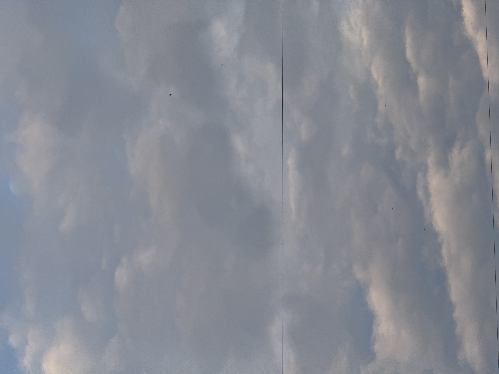 A view of a cloudy sky over Tolyatti, Russia, with two thin wires spanning horizontally across the image. The clouds are a mix of gray and white, with hints of pink light filtering through from the upper part of the frame. Several small birds are visible in flight against the cloudy backdrop. The lower section of the image shows more dense clouds, with the wire cutting across the middle of the frame.