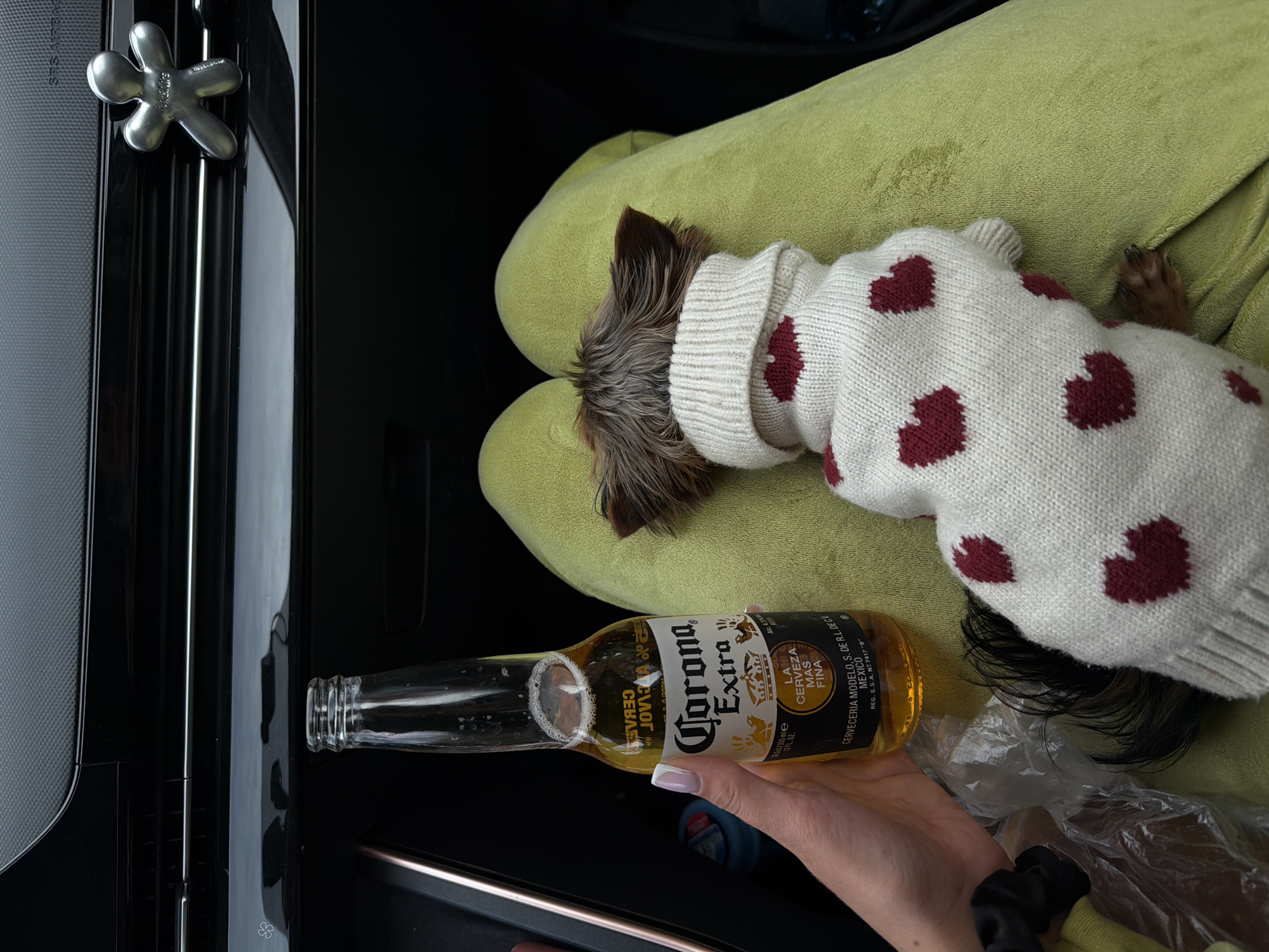 The image shows a dog in a white sweater with red hearts, resting on a green cushion or pillow. A hand holds a Corona Extra beer bottle. The background is dark, possibly a car interior. An air freshener hangs on the side of what could be the car's central console. The location is unknown and cannot be determined from the visual data. There is nothing to indicate the city of Krasnoyarsk, Russia.