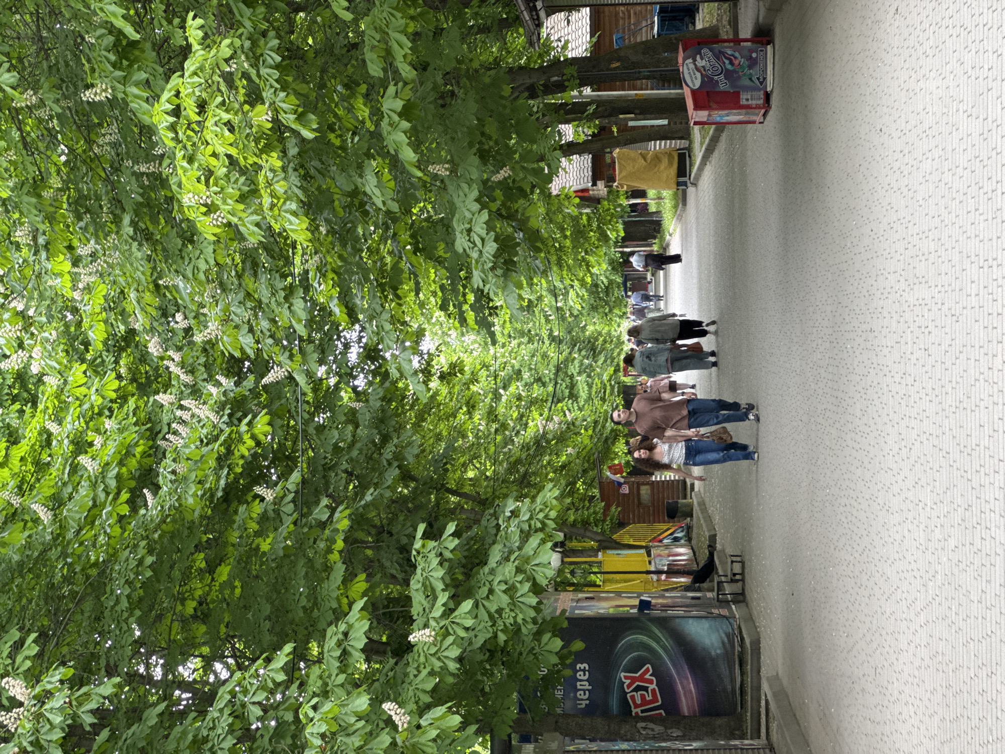The image shows a street scene in Zamankul, Russia, lined with trees in full leaf and white blossoms. Several pedestrians are walking on a brick paved road. There are vendor stands, advertisements, and buildings along the street. The image is taken from a high angle, looking down the street.