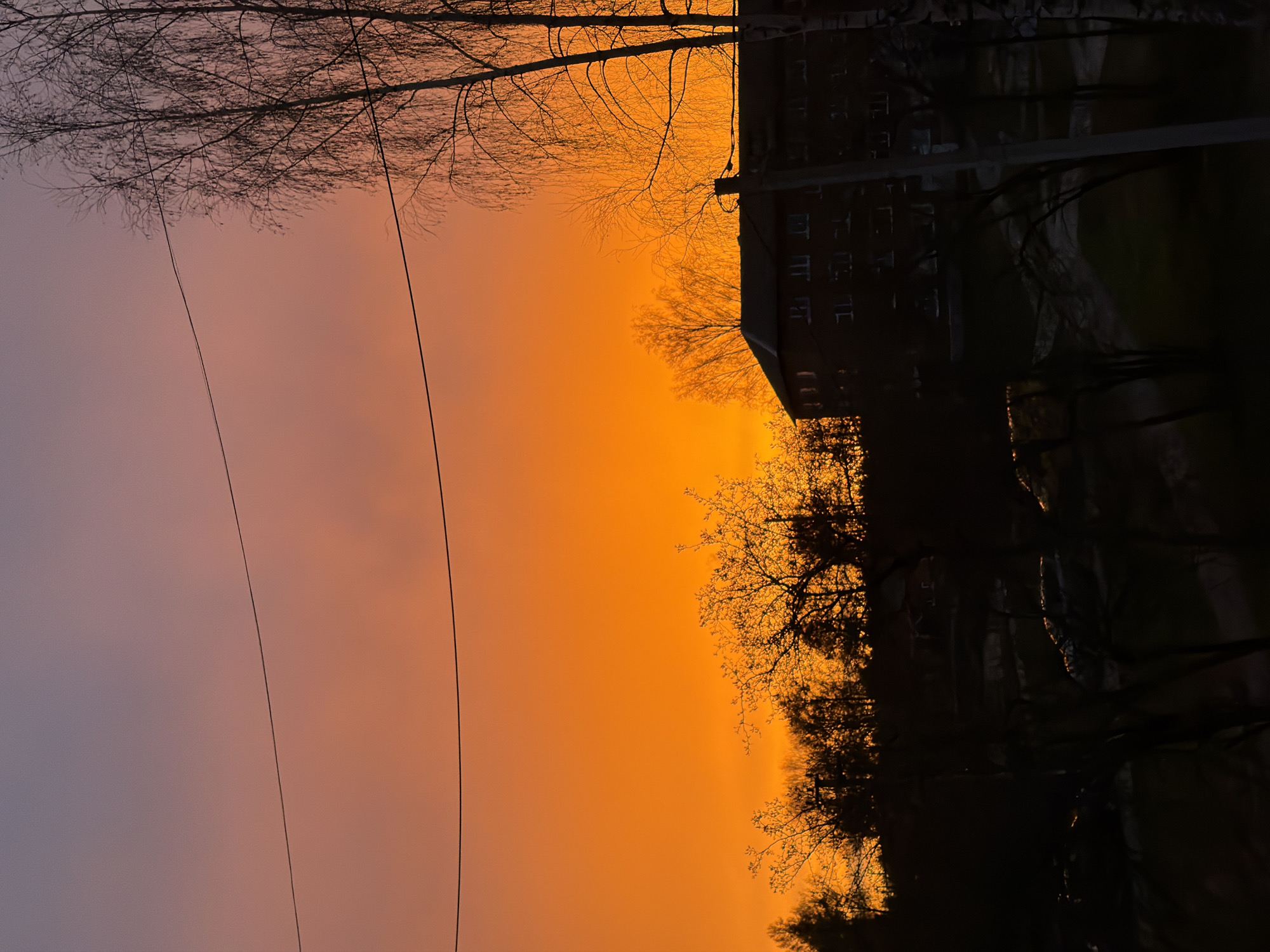 The image depicts a sunset scene in Reshetnikovo, Russia. The sky transitions from a light purple hue on the left to a vibrant orange in the center and right of the frame. Silhouetted bare tree branches are visible at the top of the image. Utility poles and power lines run across the sky. A dark, indistinct building is visible, situated amongst trees. A row of dark trees lines the bottom edge of the frame.