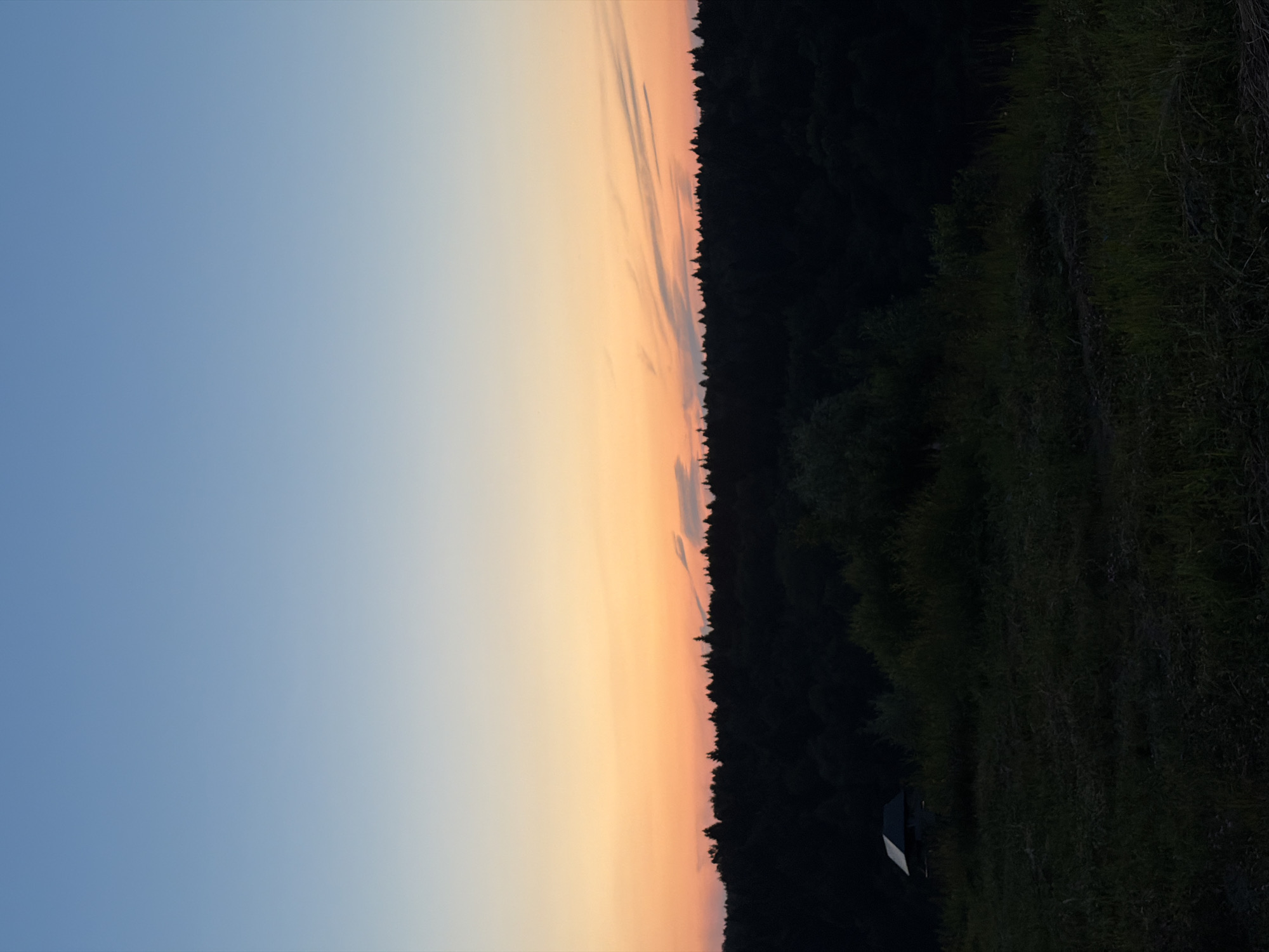 A twilight scene unfolds with a gradient of colors in the sky, transitioning from a pale blue at the top to a warm orange near the horizon. A dark silhouette of a dense forest stretches across the middle ground, its uneven treeline punctuated by a few wispy clouds above. In the foreground, a grassy incline leads the eye towards the forest. On the left side of the incline, a small, dark structure, possibly a shed or small cabin, is visible. The overall atmosphere is serene and captures the end of daylight in a natural, possibly rural setting near Krasnogorsk, Russia.