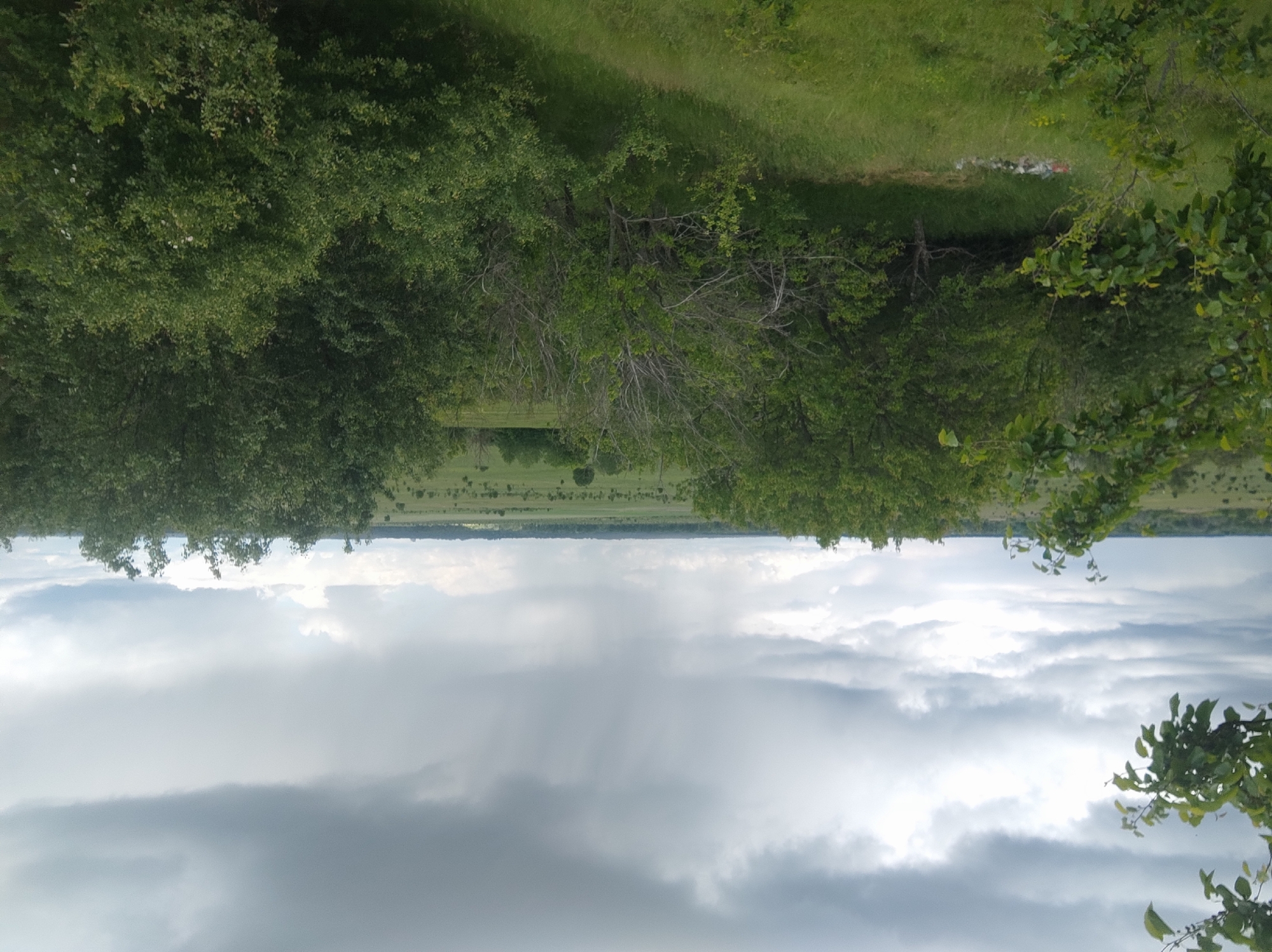 The image shows a landscape with a clear division between the sky and the ground. The sky is dominated by cloudy formations, with darker, lower clouds suggesting rain or storm conditions. The ground area features green vegetation, including trees and grassy fields. The trees form a border or edge to the scene, with some appearing denser and closer to the viewer. The grassy fields stretch out towards the horizon, where the sky and land meet. The location is unknown.