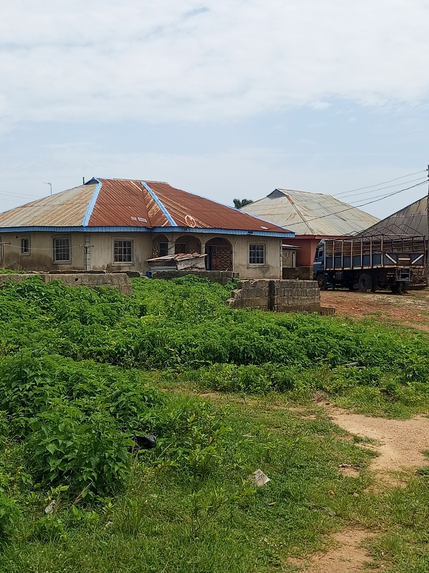 The image depicts a street scene in Iyara, Nigeria, featuring a dwelling with a rusty, corrugated metal roof adorned with blue trim. Adjacent to the house, a large, blue truck with a wooden cargo bed is parked. The foreground is dominated by lush green vegetation, including dense bushes and grass, with a dirt path winding through it. In the background, other structures with similar metal roofing are visible under a partly cloudy sky.
