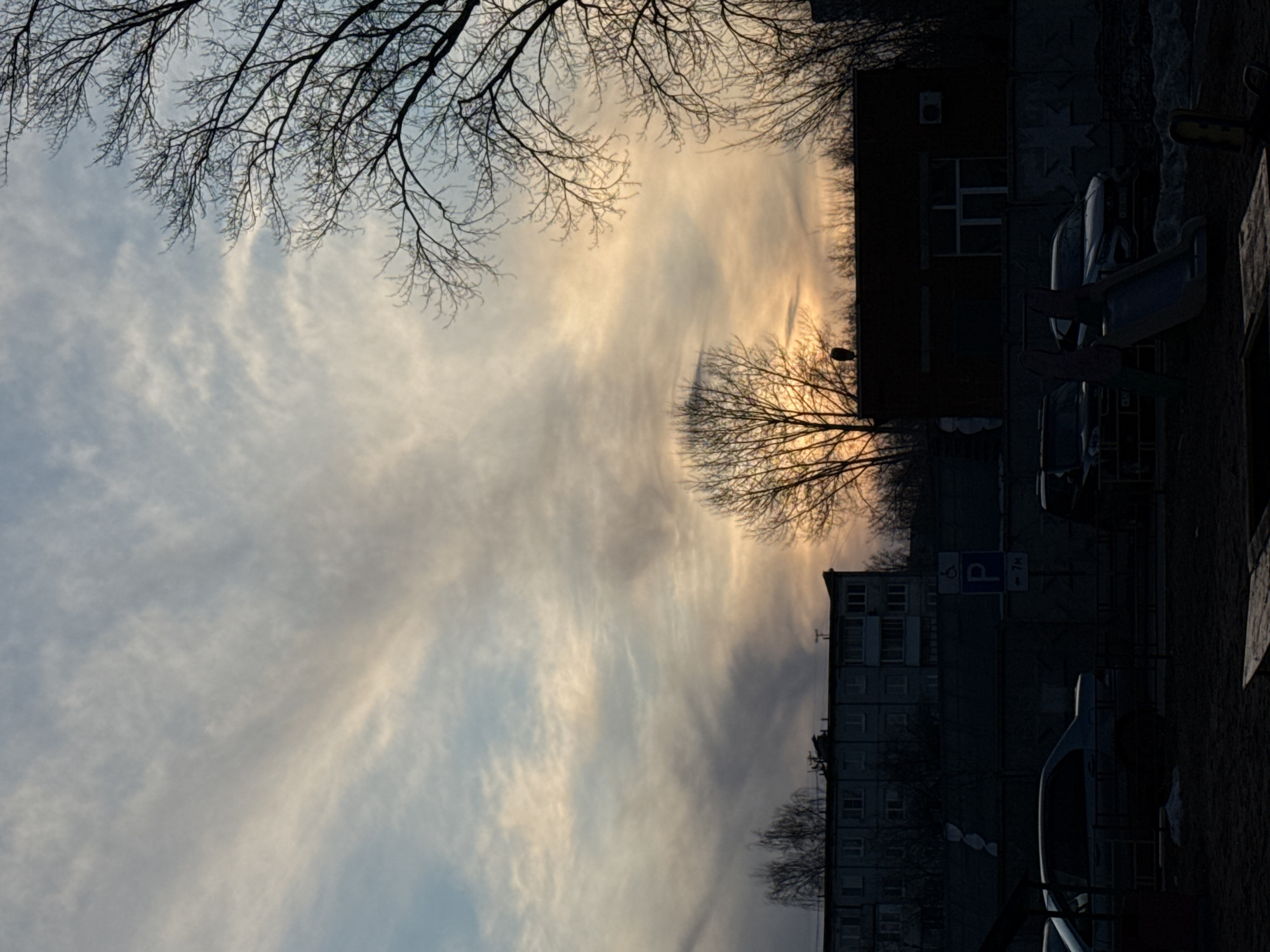 The image depicts a view in Izhevsk, Russia, likely at dusk or dawn. The sky is a mix of blue and golden-tinged clouds, with bare tree branches silhouetted against it. Adjacent to the sky is a view of a residential street. Buildings are on the right side of the image, and several parked cars are visible along the curb. A parking sign with a wheelchair symbol is present near one of the buildings. The image seems to be taken from a low angle, possibly from ground level, looking upwards toward the sky.
