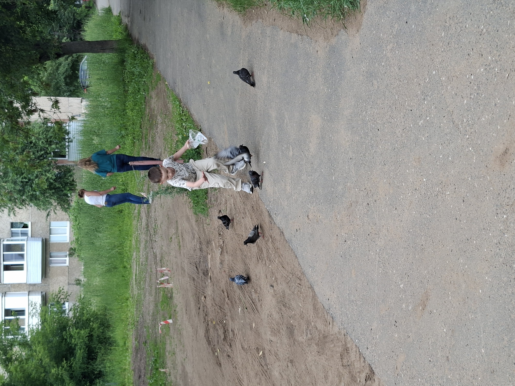The image depicts a young boy in a light-colored t-shirt and beige pants, standing on a paved pathway in Izhevsk, Russia. He is in the process of scattering food from a clear plastic bag to a group of pigeons gathered around him. The boy's left arm is extended, holding the bag, and his right hand is lowered, seemingly having just released some food.
Several pigeons are visible in the immediate vicinity of the boy, with some on the pathway and others on the adjacent dirt area. One pigeon is captured mid-flight near the boy's feet.
In the background, two women are walking away from the viewer on the same pathway. The woman on the left wears a white tank top and blue jeans, while the woman on the right is in a teal shirt and blue jeans. Beyond the pathway and the dirt area, there is a dense green grassy area and the facade of a multi-story apartment building. Trees and foliage are scattered throughout the scene. The overall environment suggests a residential area, possibly a courtyard or a park adjacent to an apartment complex. The presence of construction tape and markers on the dirt area indicates potential ongoing work or a designated zone.