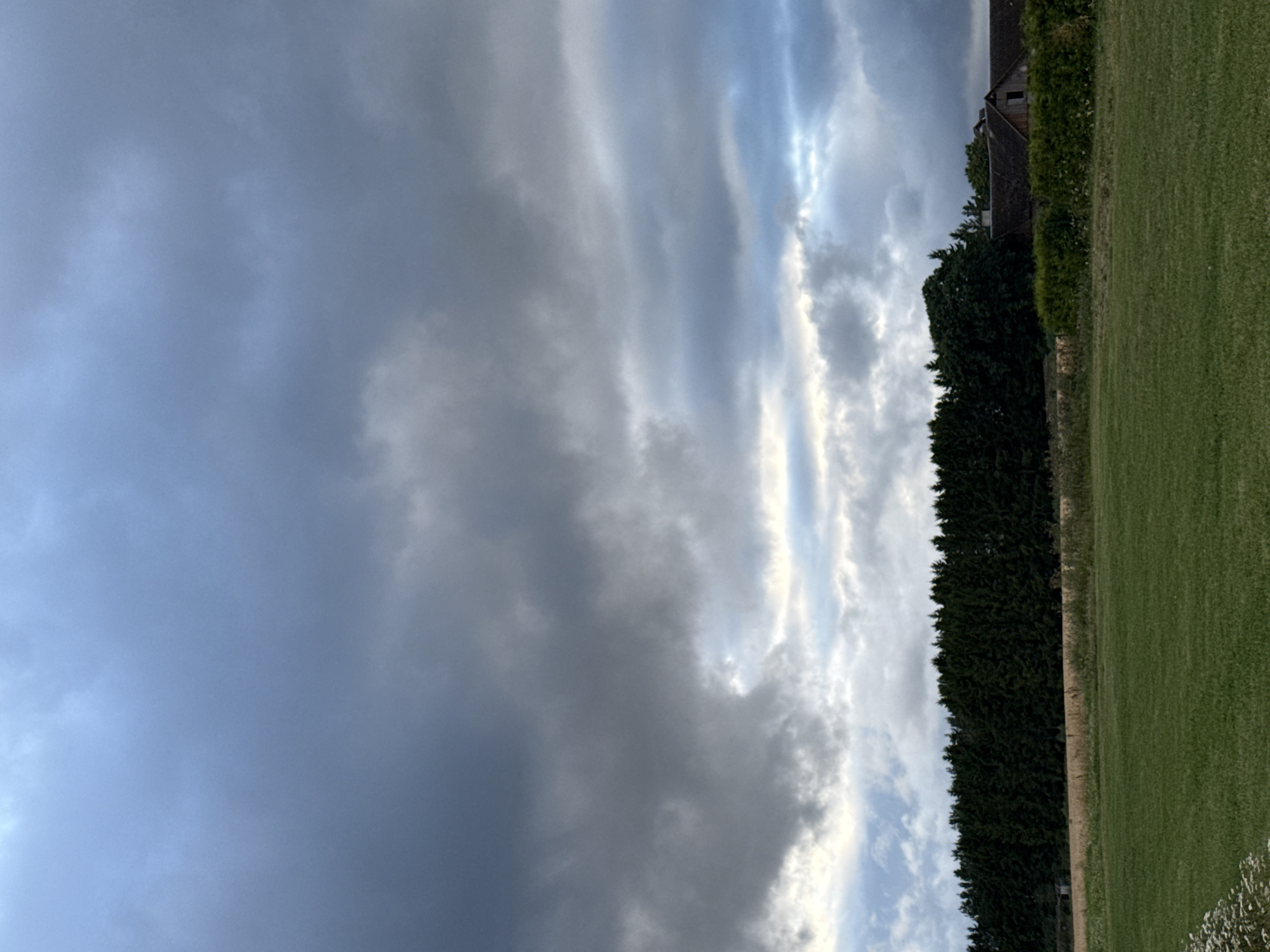 An overcast sky looms above a rural landscape. In the distance, a dense line of dark green trees forms a natural barrier. In front of the trees, a field of golden stubble suggests a recent harvest, bordered by a low, dense green hedge. To the right of the hedge, a rustic, dark-roofed building with visible wooden structures and a small, open window is partially obscured. In the foreground, a lush green lawn stretches out, with a small cluster of white wildflowers on the lower left. The scene is devoid of people.