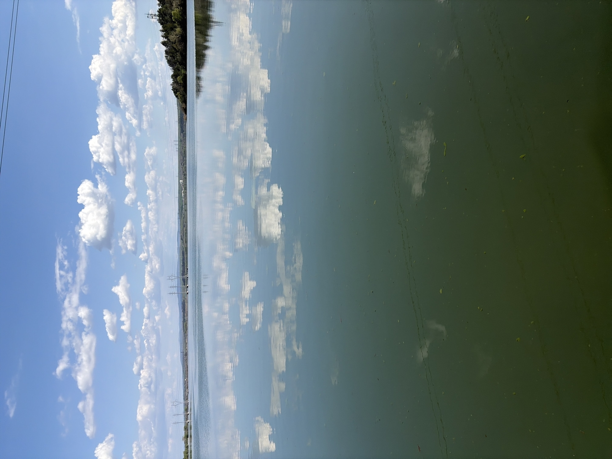 The image shows a body of water, potentially a lake or river, reflecting a blue sky filled with cumulus clouds. A line of trees is visible in the distance, bordering the water. High-voltage power lines and pylons are also noticeable along the shoreline. The water surface is relatively calm with some algae patches. This could be near Galabovo, Bulgaria, a city known for its proximity to water bodies.