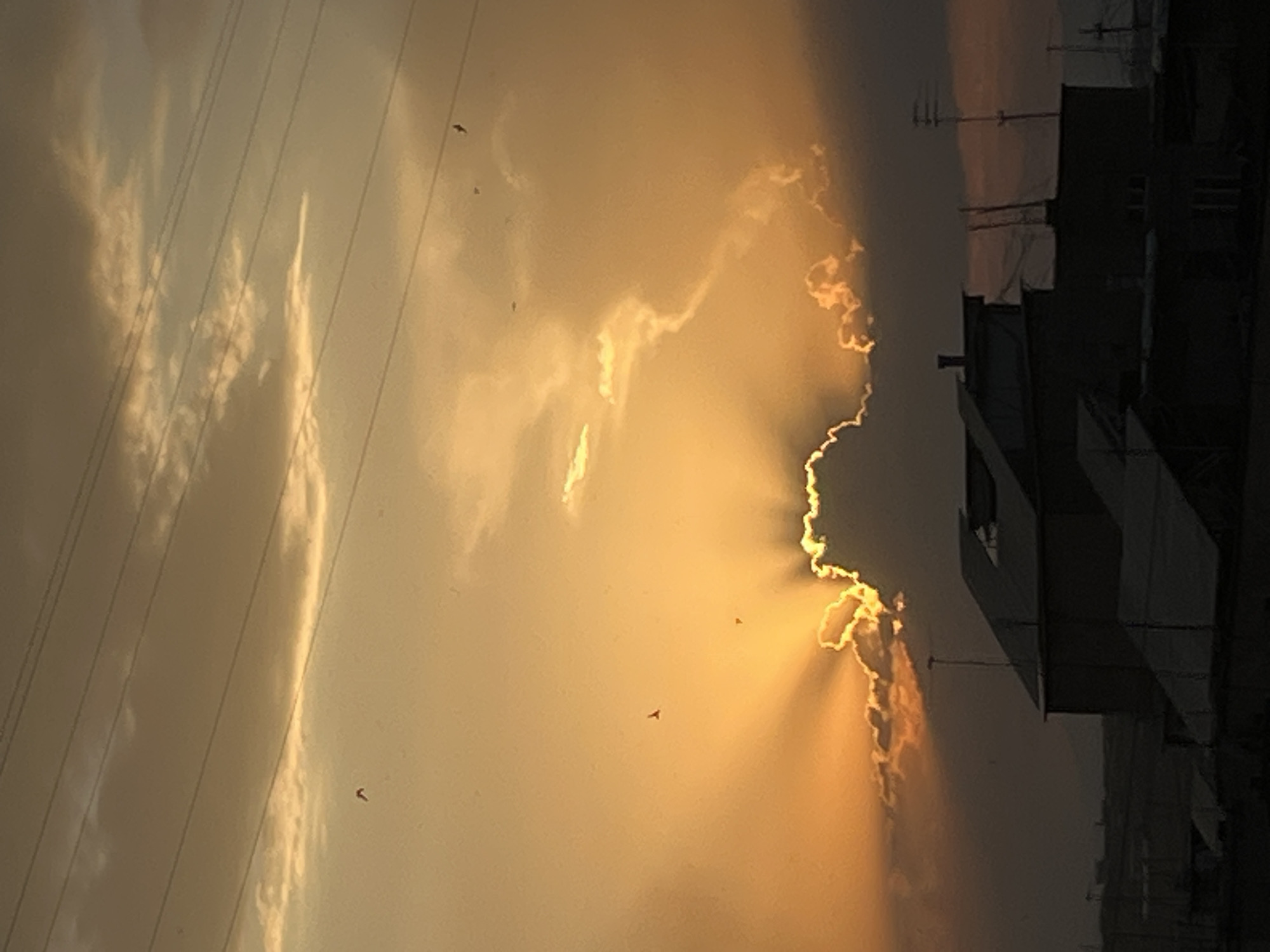 The image depicts a sunset over Yerevan, Armenia, characterized by a dramatic display of crepuscular rays emanating from behind a cloud bank. The sky is painted in warm hues of orange and yellow, with darker clouds in the foreground creating a stark contrast against the luminous sky. Several birds are visible in flight against the sunset. In the lower portion of the image, the silhouetted rooftops of buildings are visible, suggesting an urban environment. The presence of power lines in the upper part of the frame further confirms an urban setting. The overall impression is of a serene yet powerful natural phenomenon occurring within a city.