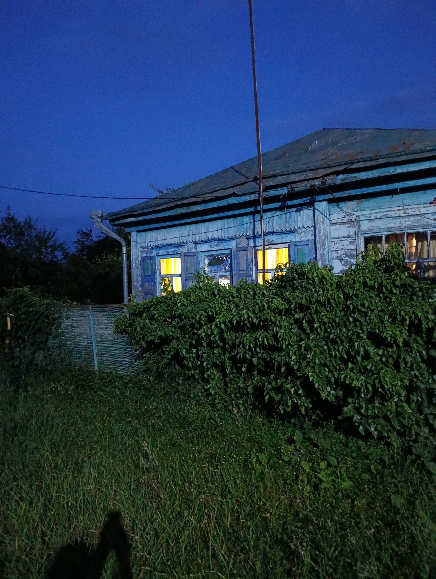 At dusk, an old, pale blue wooden house with a weathered roof stands partially obscured by a dense green hedge. Two windows on the house glow with warm yellow light, suggesting occupancy. The sky above is a deep, clear blue. In the foreground, tall green grass and a shadow, possibly of a person, are visible. A rusty metal fence runs along the front of the property, separating it from the overgrown yard. Trees are visible behind the house, adding to the rural, somewhat neglected atmosphere.