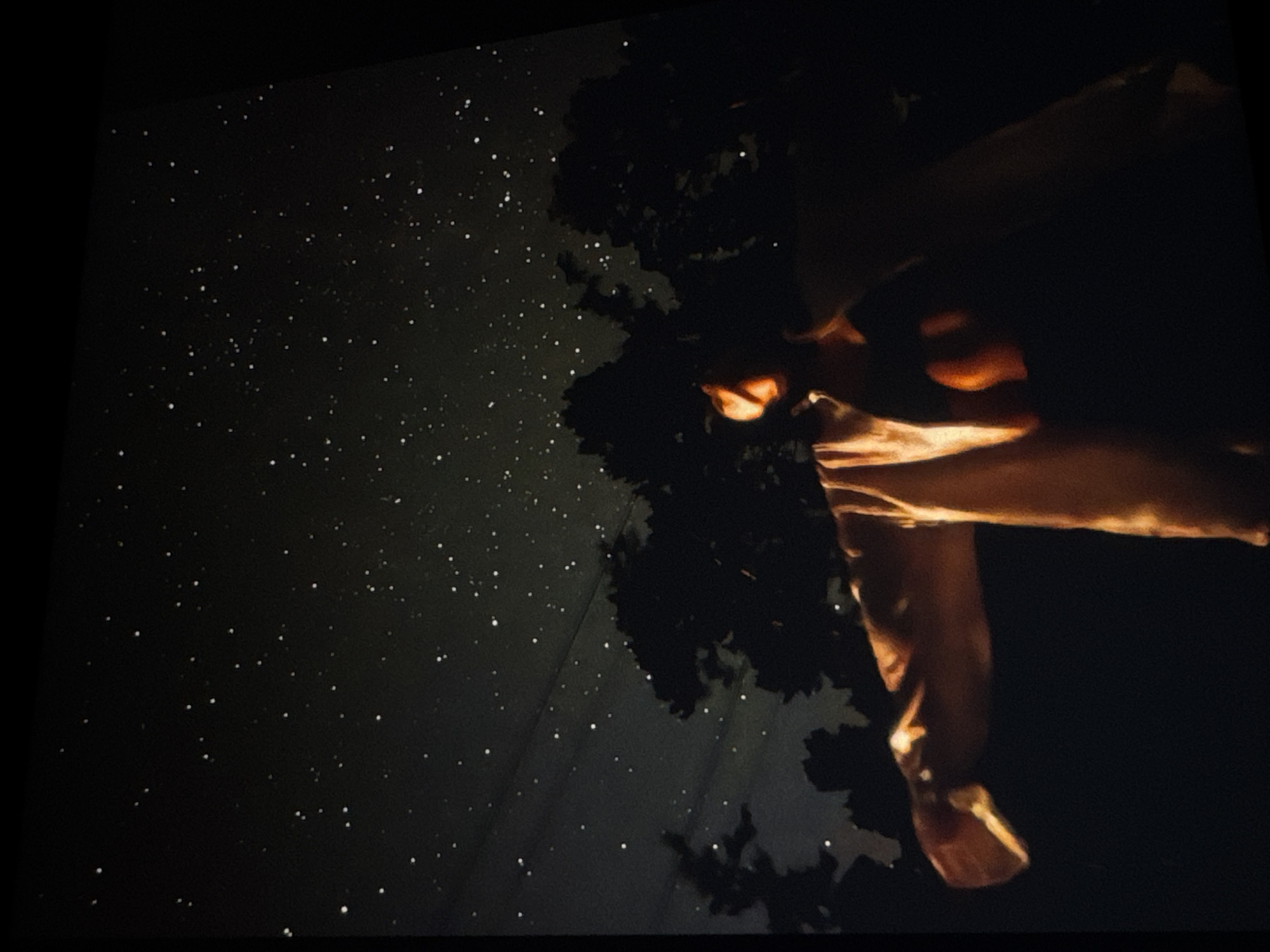 The image depicts a person silhouetted against a starry night sky. The person is wearing a light-colored jacket over a darker garment. Their left arm is extended outwards, and they appear to be looking up at the sky. Trees are visible in silhouette in the background, with the sky above filled with numerous small stars and some faint horizontal lines that may be power lines. The overall lighting suggests it is nighttime, with artificial light casting an orange glow on the person's face and arm. The scene appears to be outdoors, possibly in a rural or suburban area, given the presence of trees and the open sky. There is no specific indication of the city of Irkutsk, Russia, within the image itself.