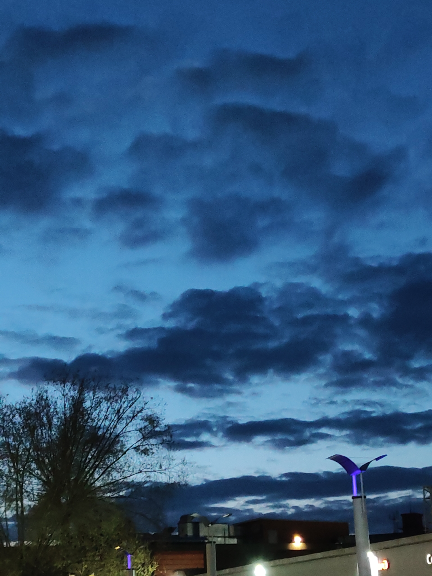 The image captures a cloudy, dusky sky over an urban environment. A bare tree stands on the left side of the frame. In the foreground, parts of buildings are visible, including a light pole illuminated with a purple light at the top, with the tops of other lights nearby. The location is within the city of Unknown, Unknown.
