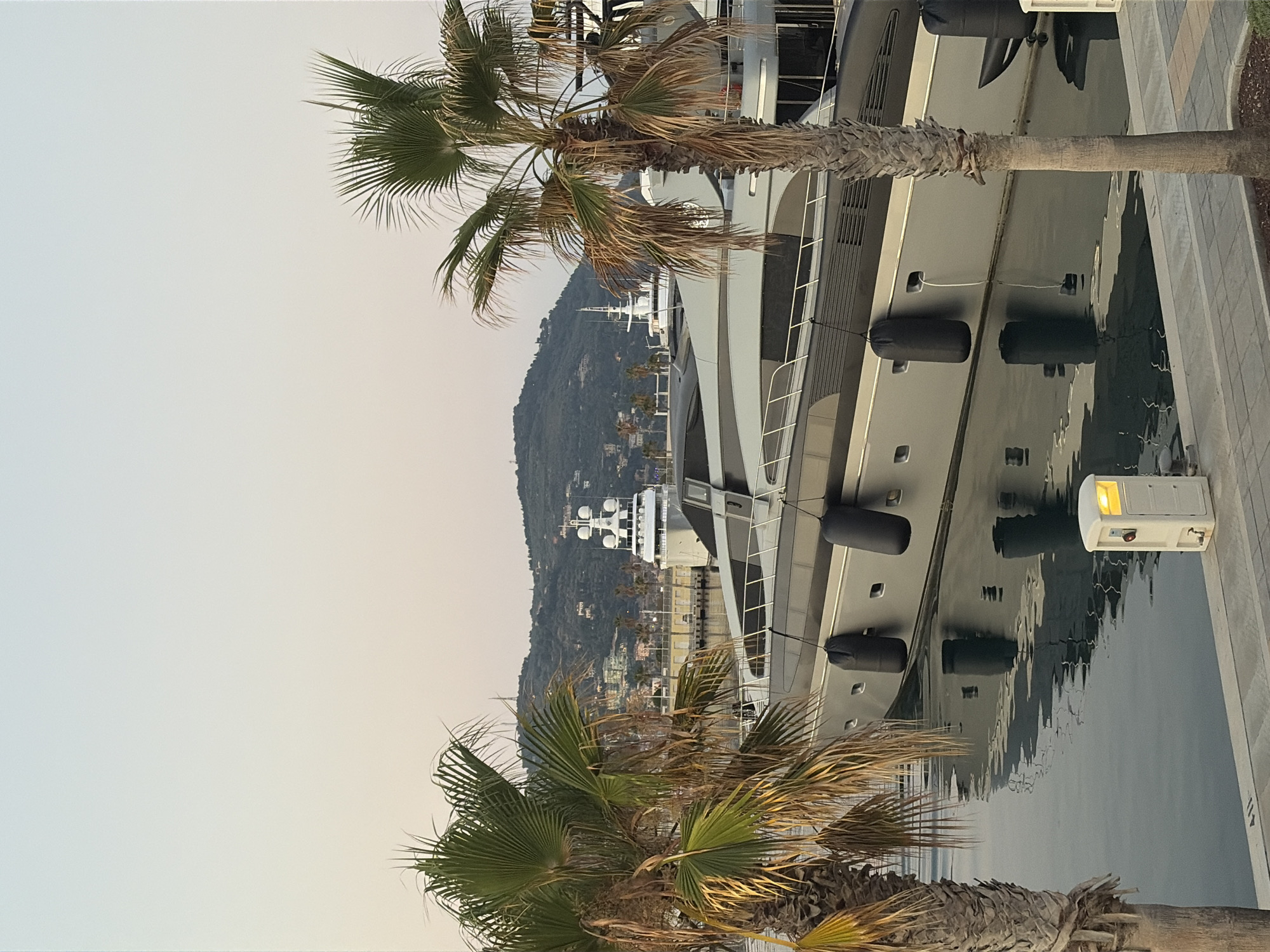 This is a vertical, eye-level photograph taken in Imperia, Italy, likely during the late afternoon or early evening due to the soft, diffused light. The scene is a marina, dominated by a large, modern yacht docked at the water's edge. The yacht is sleek and gray, with multiple levels and windows. Black fenders hang along its side, resting against the hull. The water is calm, reflecting the yacht and the sky.
In the foreground, two palm trees with green fronds frame the scene. Their trunks are rough and textured. Behind the yacht, a lush, green hillside rises, dotted with buildings and trees, suggesting a coastal town. The sky is a pale, clear gradient from light blue at the top to a faint orange or yellow near the horizon, indicating either dawn or dusk.
There are no people visible in the image, but the presence of the yacht and the marina setting implies a leisurely or luxurious environment. The overall mood is serene and tranquil, with a touch of Mediterranean charm from the palm trees and the hillside town. A small, white light fixture with a yellow glow is visible on the right side of the yacht, near the walkway. No visible text is present in the image.