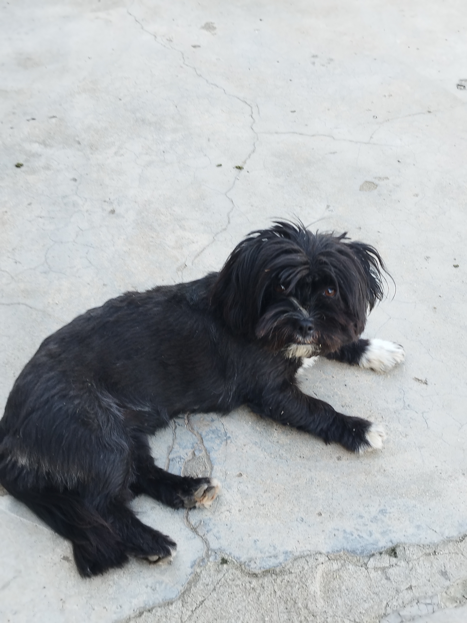 Memory