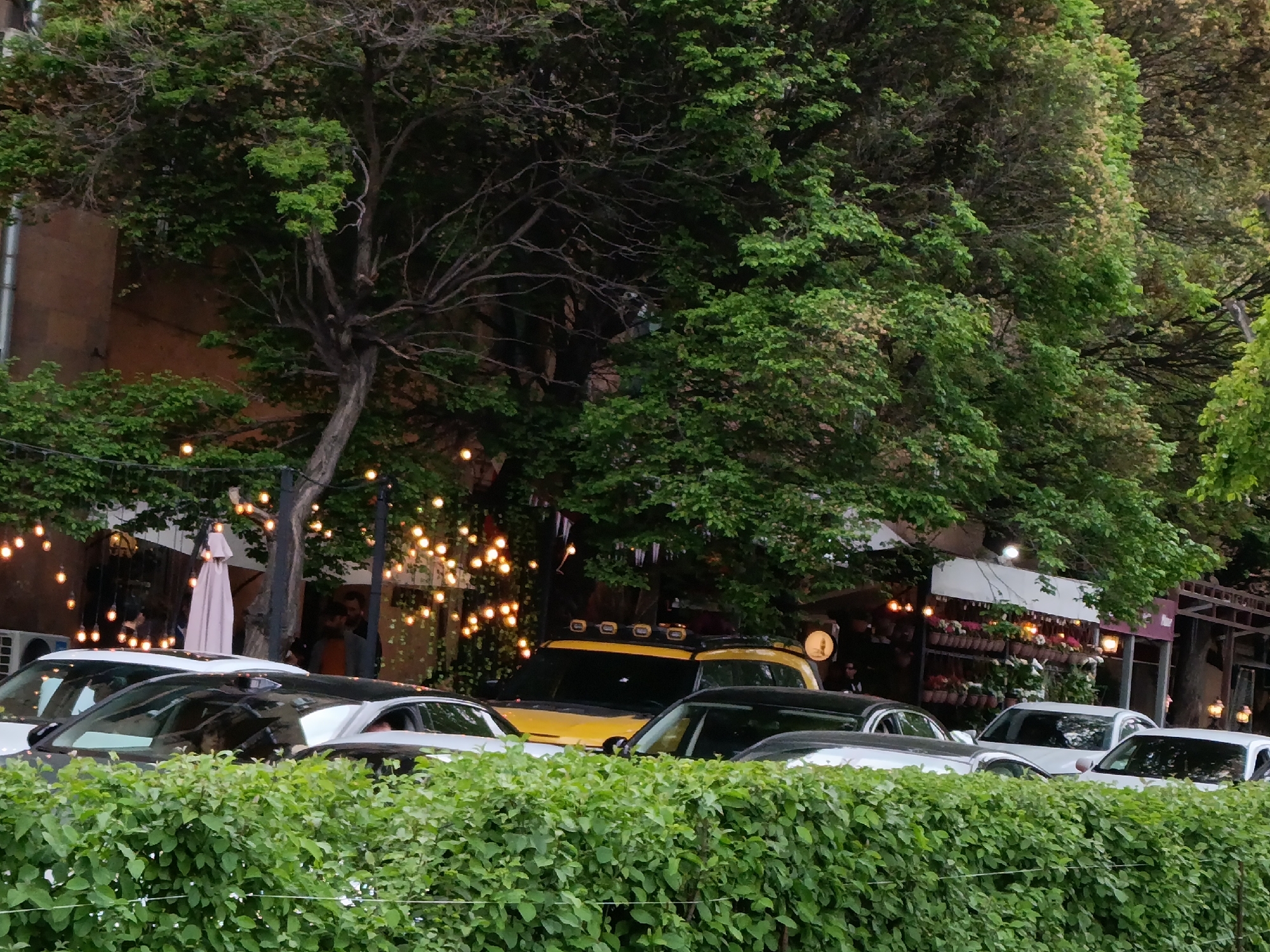 The image shows a street scene in Yerevan, Armenia. A dense green hedge runs across the foreground, partially obscuring a row of parked cars. The cars are mostly white and silver, with a yellow off-road vehicle among them. Behind the cars is a building with several open-air restaurants or cafes. String lights are visible among the trees and buildings. People can be seen dining or standing in the restaurant area. The overall environment appears to be a bustling street with a mix of natural greenery and urban elements.