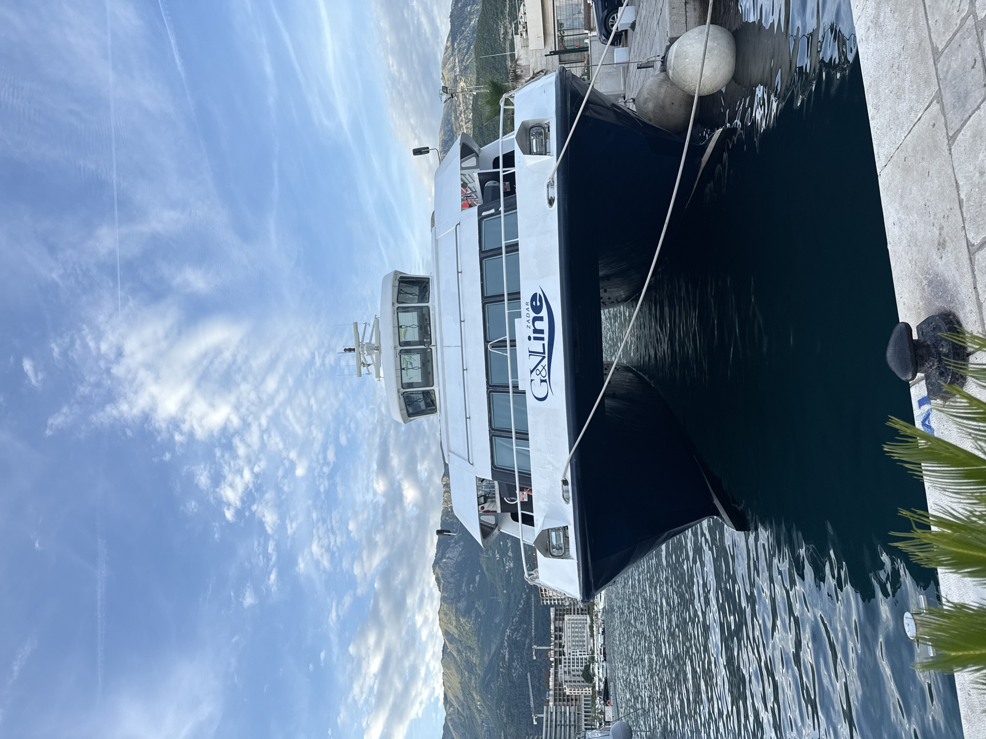 This image presents a frontal, eye-level view of a white and dark blue catamaran ferry, branded "G&LINE ZADAR," moored to a concrete dock in Budva, Montenegro. The ferry's twin hulls and bow dominate the lower two-thirds of the frame. Two mooring ropes extend from the vessel to the dock, secured to bollards partially visible on the right. Two large, spherical white fenders are positioned between the ferry's hull and the dock. The water in the foreground is dark and rippled.
On the left side of the scene, behind the ferry, a marina with several smaller boats is visible, flanked by multi-story modern buildings and multiple construction cranes indicating ongoing development. On the right, the concrete dock surface extends, with a dark metal bollard in the extreme bottom right corner. Green, spiky vegetation is present in the bottom-left corner. The background features prominent green-covered mountains under a light blue sky. The sky contains scattered white clouds and two distinct airplane contrails; one long and straight across the upper-left, and a fainter one in the upper-right. No individuals are discernible in the image.