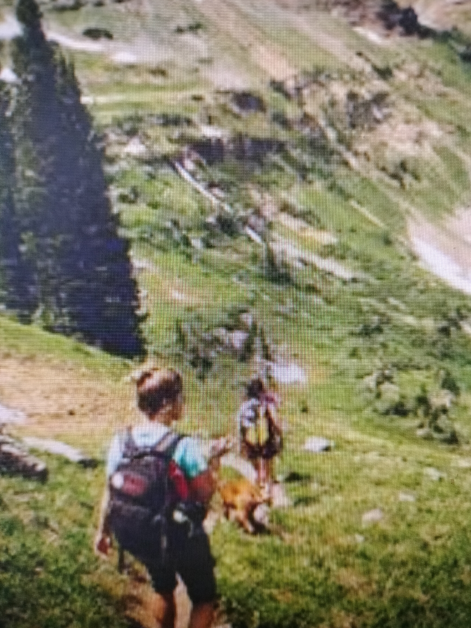 The image depicts a mountainous, grassy landscape, likely during the daytime given the bright illumination. Two individuals, possibly hikers, are seen from behind, walking along a trail. The person in the foreground is wearing a dark backpack and a light-colored shirt, with dark shorts. The second individual, further up the trail, also appears to be carrying a backpack. A dog, possibly a golden retriever or similar breed, is walking between the two people. The terrain is uneven, with patches of green grass and scattered rocks. In the background, the mountainside rises steeply, featuring sparse vegetation and some lighter-colored patches that could indicate snow or bare earth. The overall impression is one of an outdoor recreational activity, such as hiking or trekking, in a natural, somewhat rugged environment. The image is slightly pixelated, suggesting it may be a lower-resolution digital photograph or a scan. There is no visible text within the image.