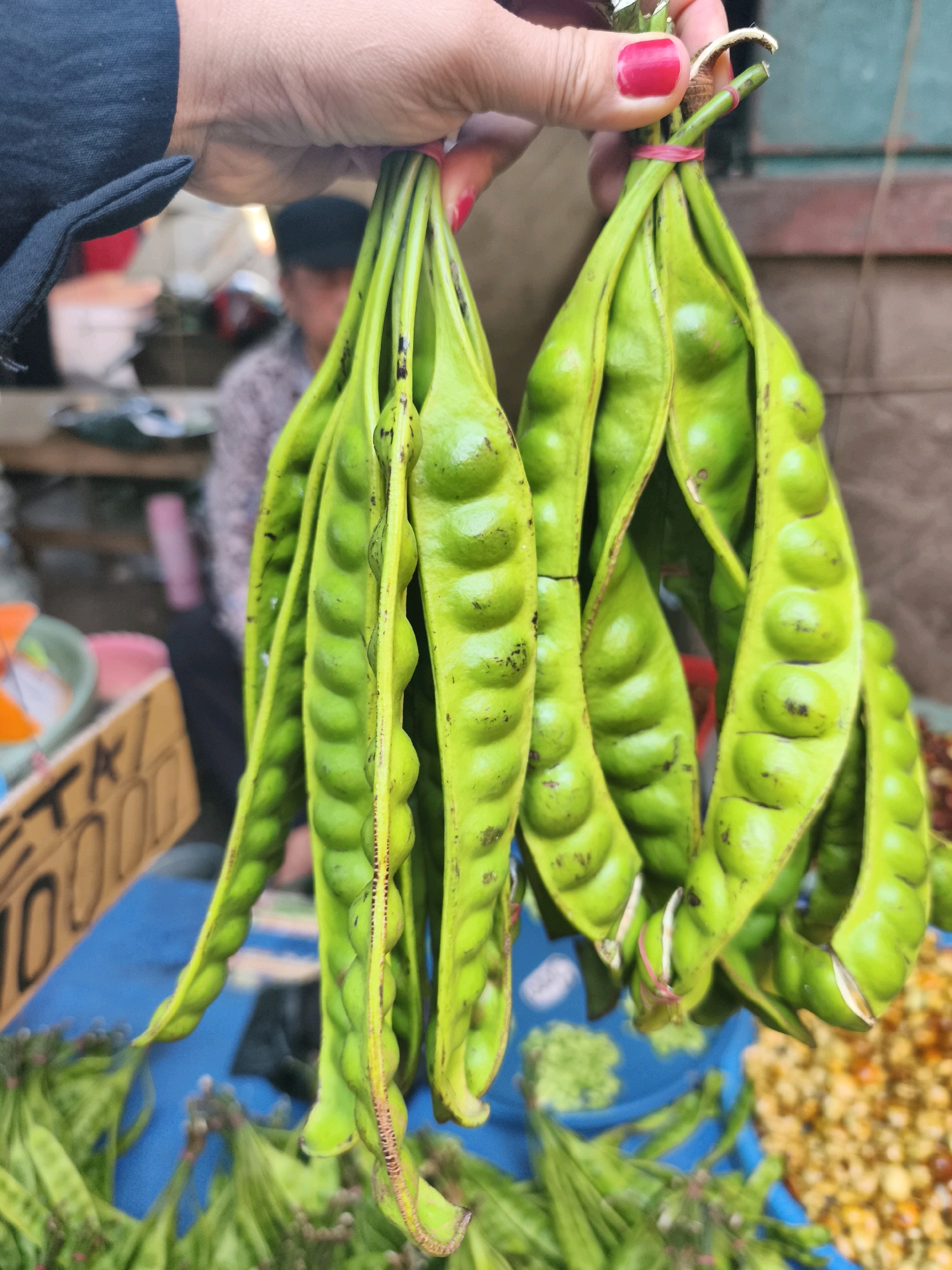 In Palembang, Indonesia, a close-up shot shows a person's hands holding several bunches of bright green petai beans, also known as stink beans, tied together with a pink rubber band. The petai beans are elongated and have a distinctive bumpy texture, with each pod containing multiple beans. The hands have bright red fingernails. In the blurred background, a market stall is visible with a person wearing a dark hat and a patterned shirt. Signs with text, including "TA 10000", are also present. The overall scene suggests a vibrant market environment where fresh produce is being sold.