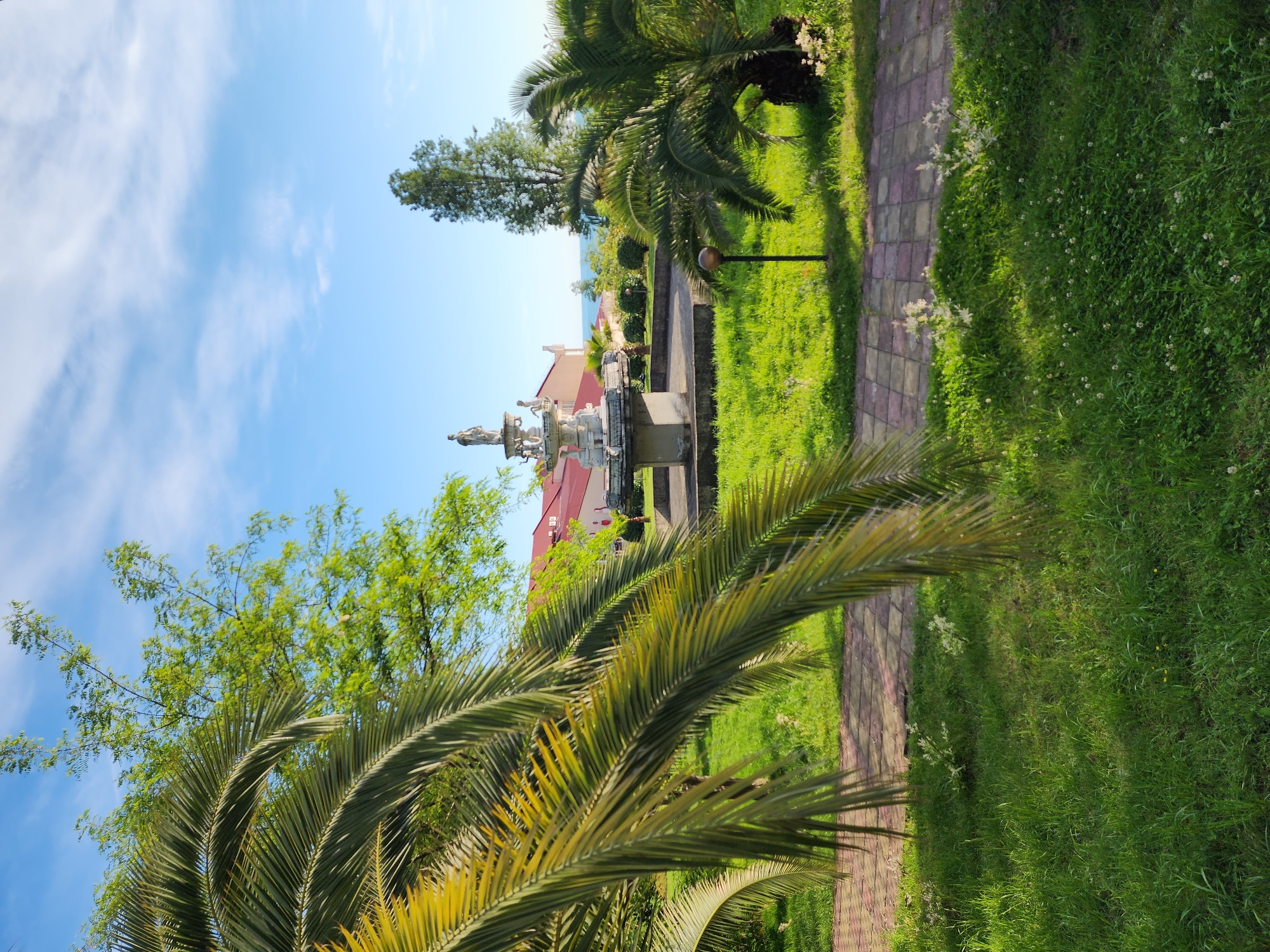 This vibrant outdoor photograph captures a serene park or garden setting under a clear blue sky with sparse white clouds, indicative of a sunny day. The scene is lush with green vegetation, typical of a subtropical climate like Sochi, Russia.
In the foreground, large, feathery fronds of palm trees partially frame the lower corners of the image, adding a tropical aesthetic. A paved pathway, constructed from alternating light and dark-colored square tiles, diagonally traverses the mid-ground, separating two expansive areas of vibrant green grass. Small white wildflowers are scattered throughout the grassy areas, particularly dense on the left side of the path.
To the left of the pathway, a prominent, multi-tiered white fountain or monument stands, adorned with several classical statues, possibly depicting human or mythological figures, gleaming in the sunlight. Behind this structure, a building with a distinctive reddish-orange tiled roof and light-colored walls is visible. Further in the background, a sliver of the sea can be discerned under the horizon line, complementing the coastal feel of the location. Various other deciduous trees with dense green foliage are scattered throughout the park, contributing to the rich natural environment. A single dark-colored lamppost stands near the right side of the path.
The image portrays a peaceful and well-maintained public space. The time of day is bright daylight, suggesting late morning or early afternoon. No people are visible in the scene, and there is no discernible text. The overall atmosphere is one of tranquility and natural beauty.