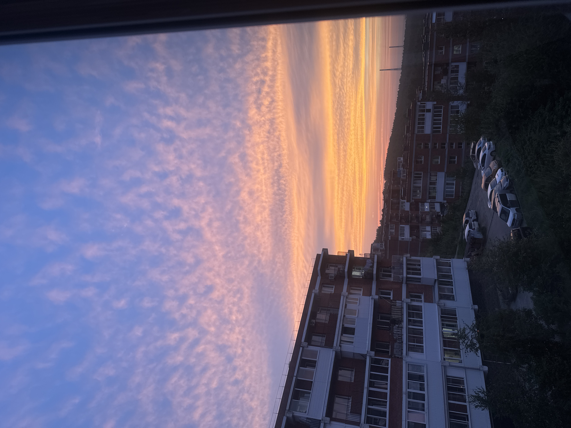 A view from a window in Markova, Russia, captures a vibrant sunset illuminating a sky filled with small, wispy clouds. The clouds are painted in shades of pink, orange, and purple, transitioning to a clear blue at the top of the frame. In the foreground, a multi-story brick apartment building with white-trimmed windows and balconies dominates the left side of the image. To the right, the landscape slopes downward, revealing more apartment buildings nestled amongst trees. Parked cars are visible in the spaces between the buildings and along the side of the road. In the distance, silhouetted against the colorful sky, are two tall, thin industrial chimneys. The overall scene depicts a residential area during the evening twilight.