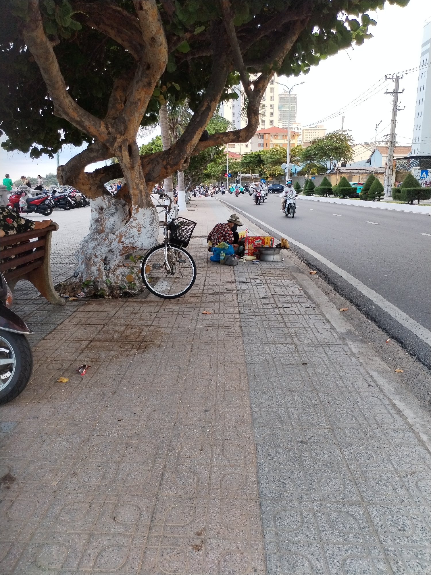 The image shows a street scene in Bac Nha Trang Ward, Vietnam. A woman sits on the pavement next to a tree, selling food from a small table. A bicycle is parked next to the tree. The sidewalk is paved with grey interlocking blocks. A busy street with motorbikes runs adjacent to the sidewalk. Buildings and trees are visible in the background.
