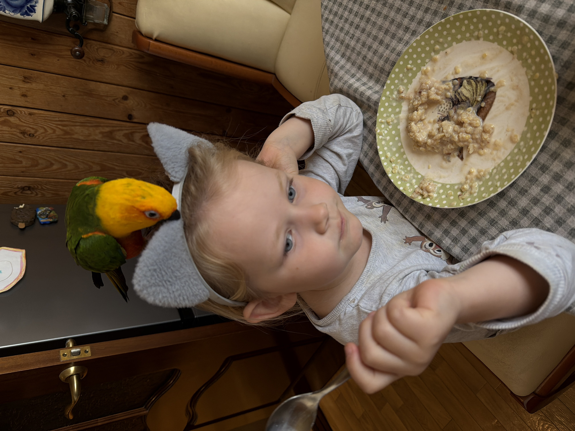 A high-angle shot depicts a child, wearing gray ears, and a parrot. The child is seated at a table with a partially eaten bowl of porridge. The parrot is perched on a surface to the child's left. A spoon is in the child's hand. The setting appears to be indoors with wooden surfaces and a table covered with a checkered tablecloth. It is impossible to determine the location as Khimki, Russia, based solely on this image.