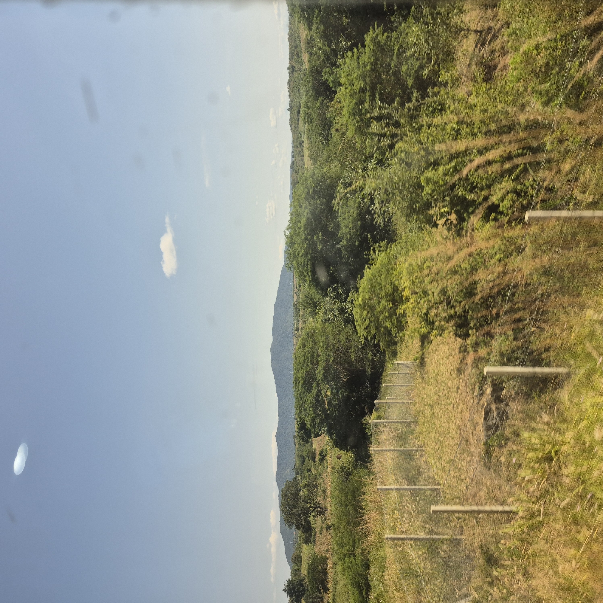 This is a photograph of a rural landscape in the city of Semakwede, Tanzania, on a clear, sunny day. The foreground features dry, yellowish-brown grass and a wire fence with vertical wooden posts, suggesting a boundary or enclosure. Beyond the fence, there is a dense area of green trees and shrubs, with some fields of crops visible in the middle ground. In the distance, a range of large, green mountains forms the horizon under a light blue sky. A small, white cloud is visible in the sky, as well as some bright, irregular shapes that could be lens flares or atmospheric phenomena. There are no people or animals visible in the image. The overall impression is one of a natural, undeveloped environment.