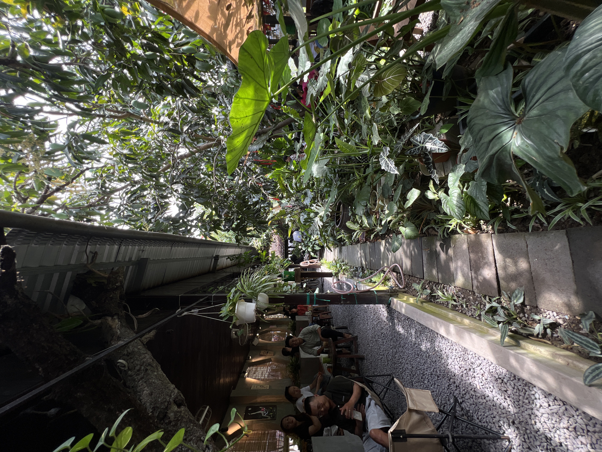 The image shows an outdoor space with lush greenery overhead, possibly a garden or a cafe area in Diên Khánh, Vietnam. Patrons are seated at tables and chairs, some appearing relaxed and engaged in conversation or relaxation. The environment features a stone pathway bordered by gravel and planted areas with a variety of plants, indicating a well-maintained and naturalistic setting. The architecture includes wooden and metallic structures, possibly part of a building or pergola covered with vegetation.