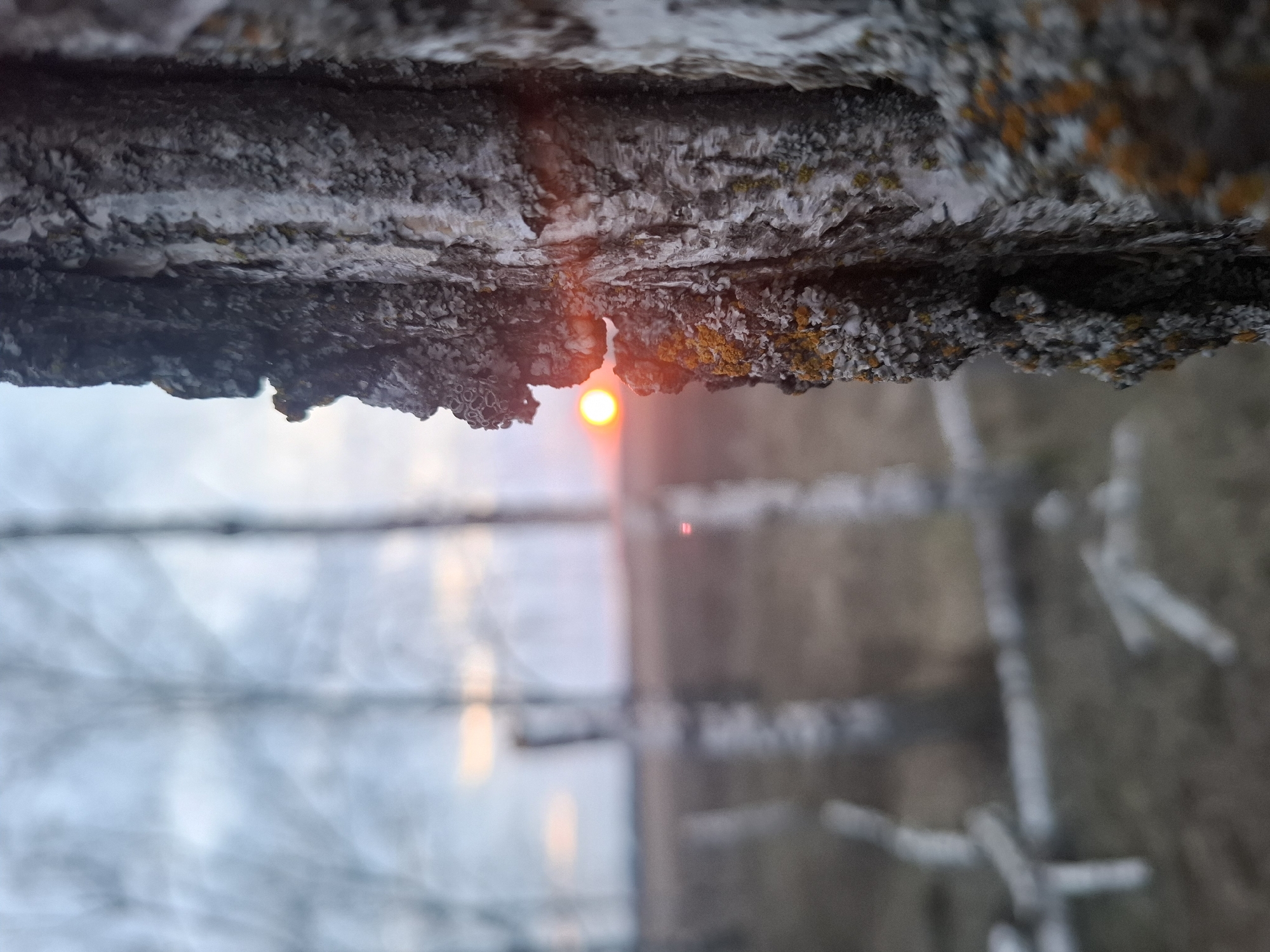 The image, taken from an extremely low angle, presents a blurry winter scene in Khlevnoe, Russia. The primary focal point is a branch or piece of rough-hewn wood covered in lichen or moss, which dominates the upper portion of the frame. A bright, reddish-orange light source, likely the sun, shines through a narrow gap between sections of the wood. In the background, a blurred, snow-covered landscape is visible, including what appears to be a fence, partially obscured by the out-of-focus elements. The overall atmosphere is cold and muted, with a limited color palette dominated by grays, whites, and the pop of the light source.