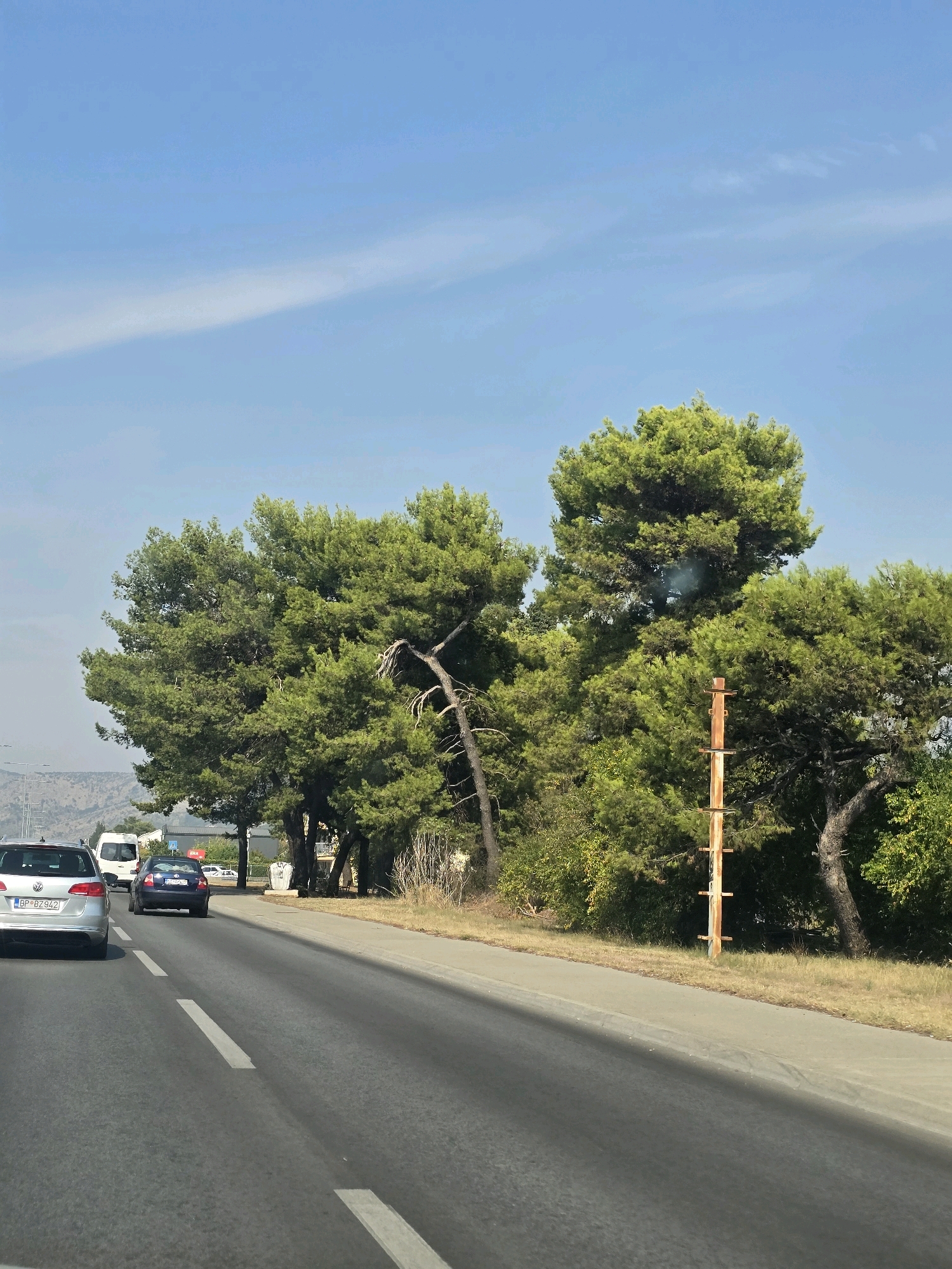 The image captures a view from a vehicle traveling on a paved road with white lane markings in Podgorica, Montenegro. The road runs alongside a grassy area and a dense collection of large green pine trees. In the distance, hazy hills are visible. Several vehicles are on the road, including a silver Volkswagen station wagon in the foreground with license plate "BP BZ 942," a dark blue car, and a white van. A weathered wooden utility pole with metal attachments stands in the grassy area by the trees. The sky is clear and blue with a faint wispy cloud.