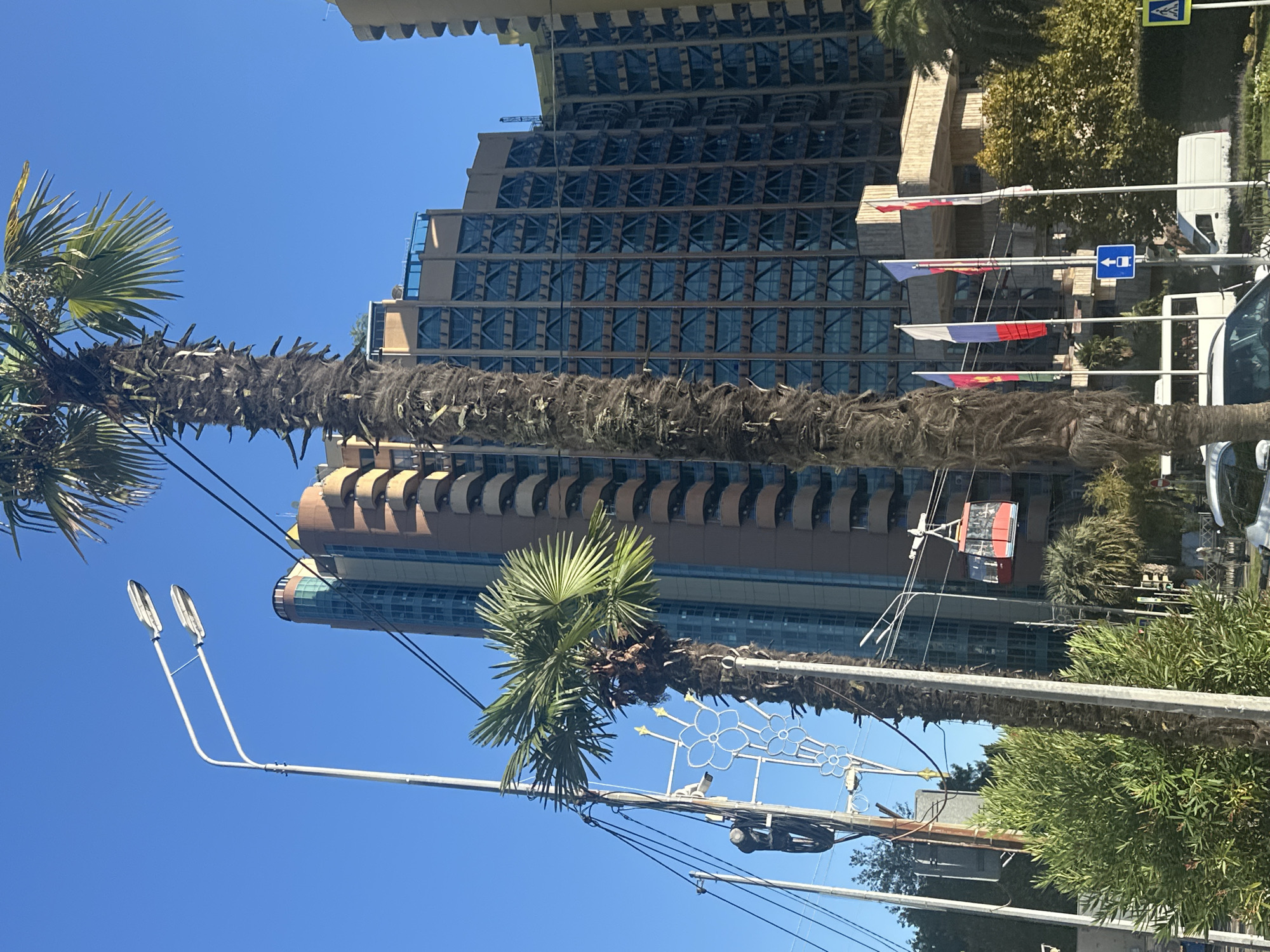 The image captures a sunny day in Sochi, Russia, likely near a coastal area due to the presence of palm trees. In the foreground, a tall, shaggy palm tree stands to the left, partially obscuring a street lamp with two fixtures. Another smaller palm tree is visible to the left of the larger one. A red cable car, carrying passengers, is suspended in the air against a clear blue sky. In the background, a large, modern hotel or residential building with many windows and balconies dominates the skyline. Several flags are planted in front of the building, and a blue traffic sign indicating a bus lane is also visible. The overall impression is a blend of natural tropical elements and urban architecture.
