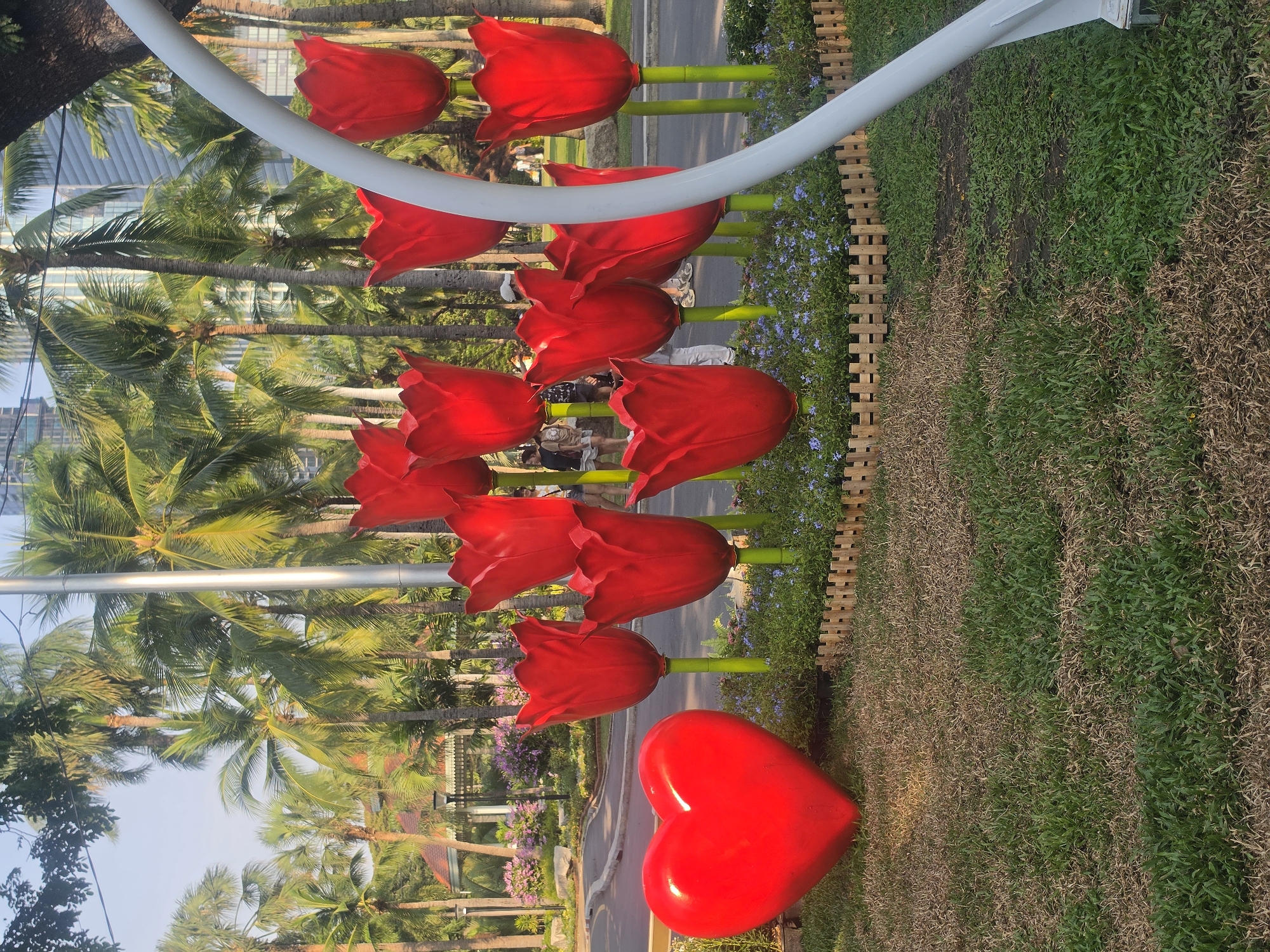 The image captures an outdoor scene, likely a public park or decorated garden area, characterized by vibrant red artificial flowers and lush tropical foliage. The perspective is slightly elevated, looking towards a road and distant buildings.
In the foreground, a row of large, red, tulip-shaped sculptures with bright green stems stands prominently on a grassy area. To the bottom right, a glossy red heart sculpture rests on the grass. A white, curved architectural element spans across the upper part of the frame, possibly part of an archway or art installation. The grassy ground exhibits varying shades, with patches of green intermingled with drier, brownish sections. A low wooden fence borders part of this grassy area, behind which small purple flowers bloom.
Several people are visible in the mid-ground, walking or standing behind the tulip sculptures and near the road. They are casually dressed.
Beyond the decorative elements and people, a paved road or pathway winds through the scene. The background is dominated by numerous tall palm trees, their fronds catching the warm, golden light. Through and above the palm trees, modern high-rise buildings can be seen, hinting at an urban setting.
The time of day appears to be late afternoon or early evening, with the sun casting long shadows and bathing the scene in a soft, warm glow. The weather is clear and sunny. The overall impression is one of a cheerful and decorative public space, possibly an art display or festive installation, set within a tropical urban environment consistent with Bangkok, Thailand. No visible text is present in the image.