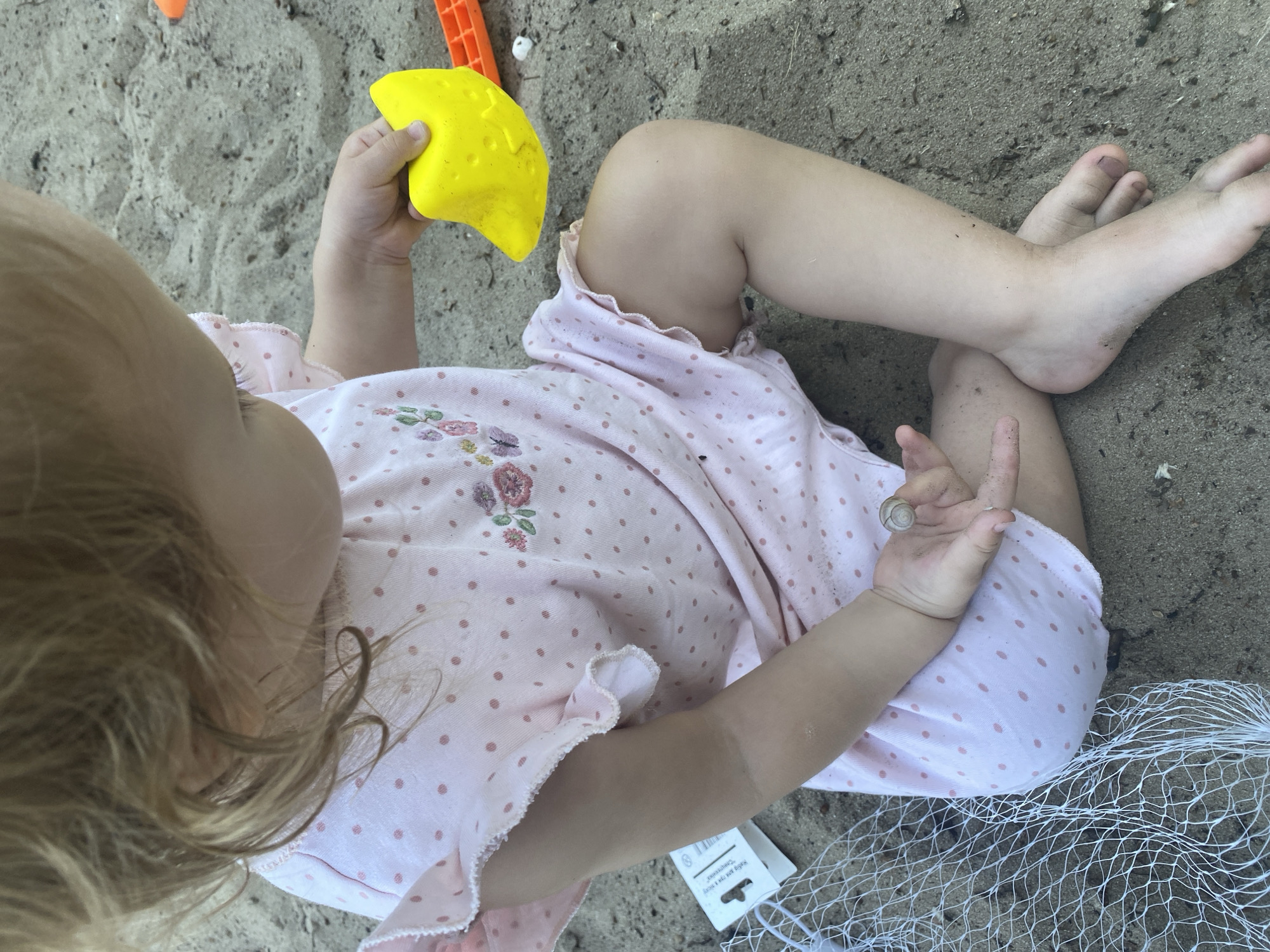 A toddler in a pink polka-dot dress is playing in the sand. The child's legs are crossed, and their feet are bare. The toddler is holding a yellow toy shovel in their right hand. A small seashell is perched on the toddler's left index finger. In the background, there are parts of orange plastic sand toys and a white net. The scene appears to be outdoors, likely at a beach or sandbox, given the sand and toys. The lighting suggests it's daytime. There is no visible text in the image.