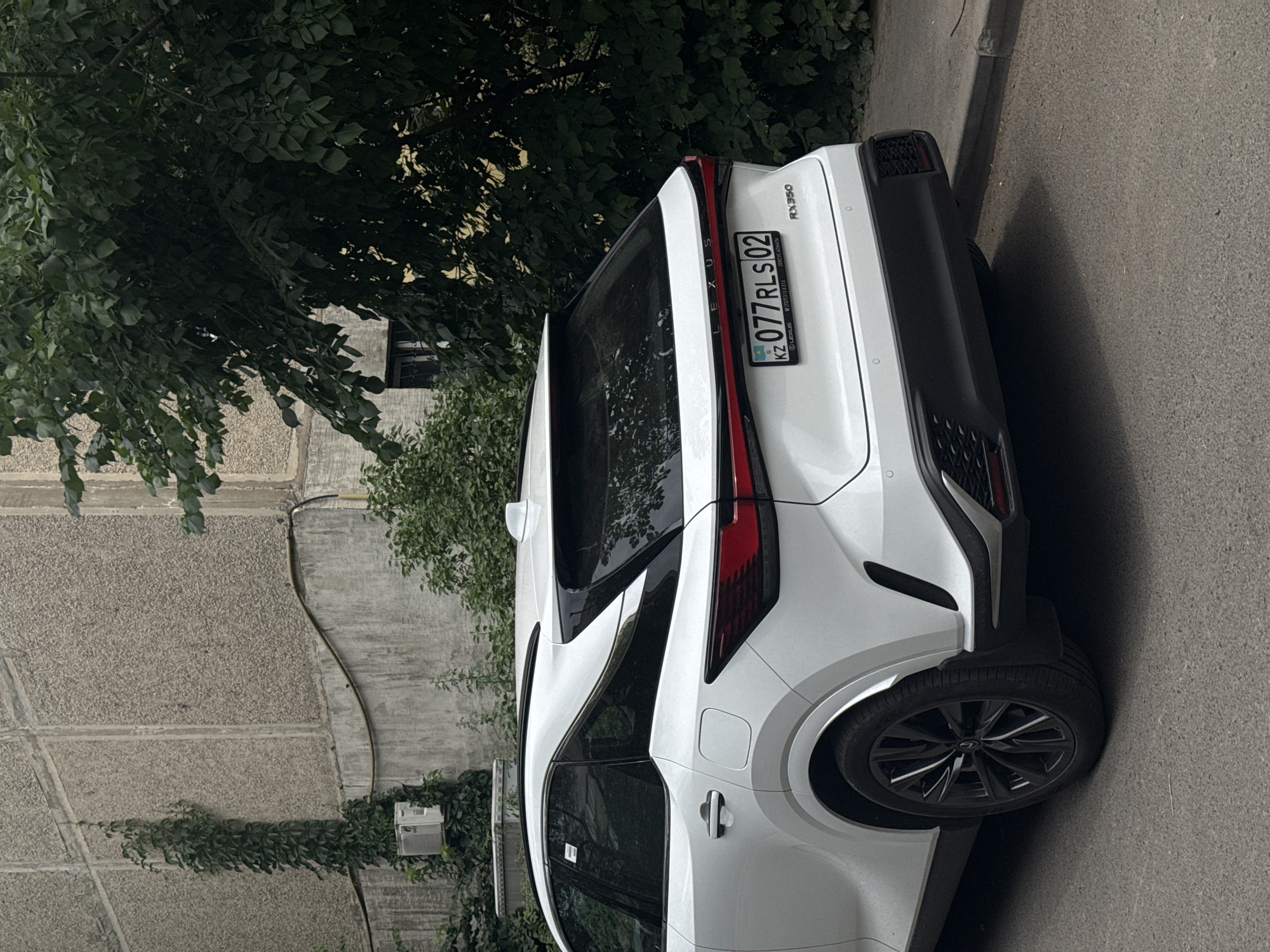 A white Lexus RX350 is parked on a paved street in Almaty, Kazakhstan, next to a building with a textured grey facade. A thick vine with dark green leaves climbs the side of the building. Behind the car, lush green trees partially obscure a window on the building. The car's rear license plate, bearing the text "KZ 077RLS 02," is clearly visible. The car's taillights are illuminated with a red glow. The background features a grey sidewalk and the street continues into the distance.