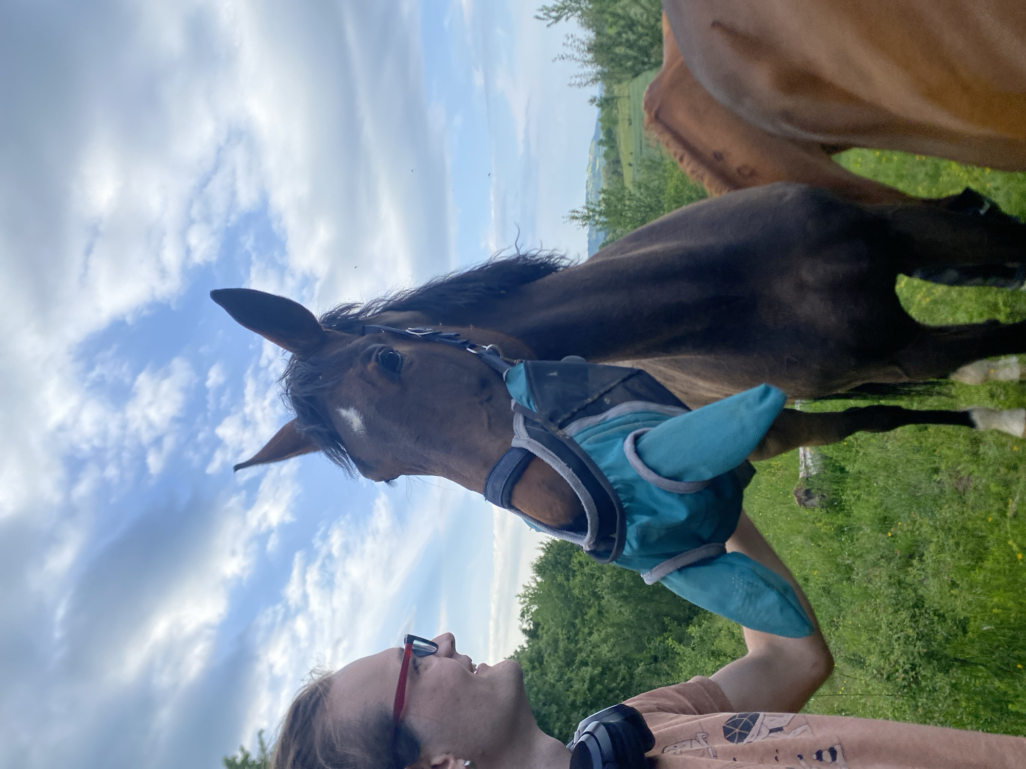 A medium-angle shot shows a person facing a horse. The horse is wearing a light blue covering around its neck. A second horse is partially visible behind the first. The person has red-rimmed glasses and is looking at the horse. The background consists of grass, trees, and a cloudy sky. The location is likely Gornje Leskovice, Serbia, given the request, but without further specifics in the image, it can only be considered a rural environment.