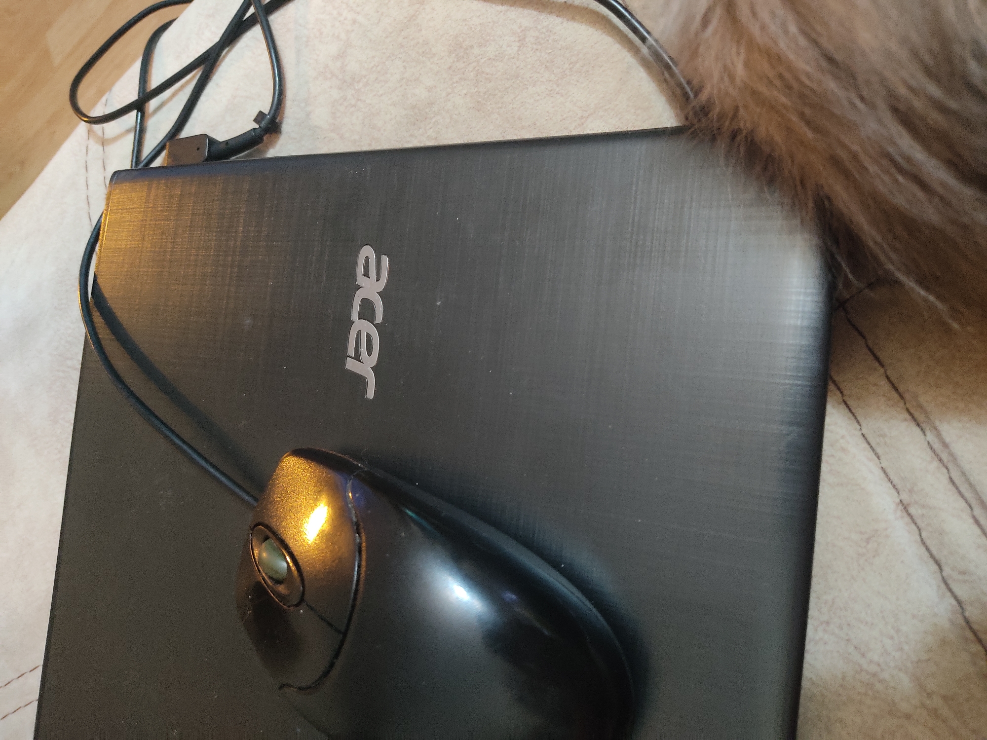 A black Acer laptop is resting on a tan surface with a black corded mouse sitting on top of it. A black laptop charging cable is nearby. Brown fur appears in the upper right corner. The scene's location is unspecified.