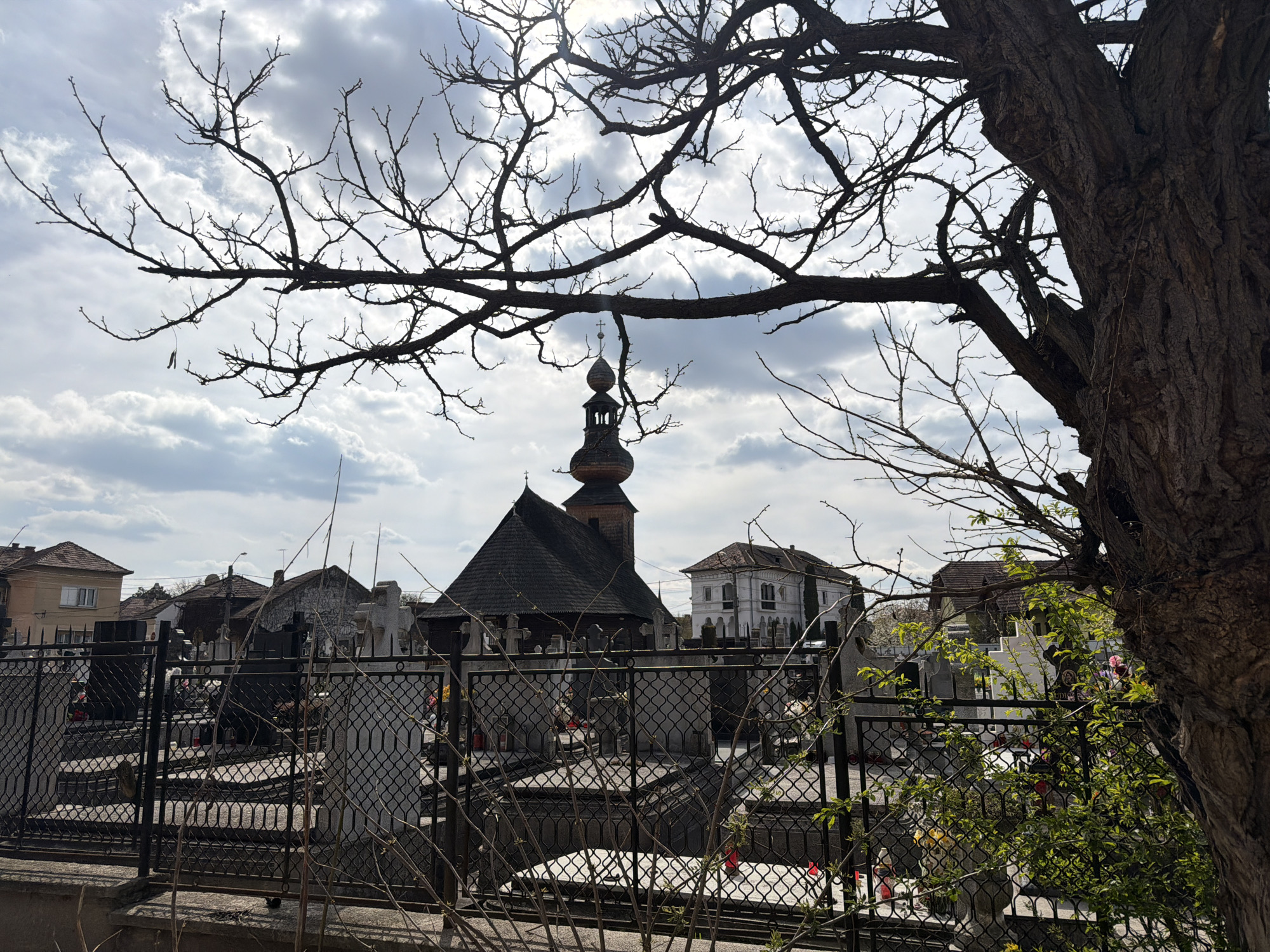 The image shows a cemetery in Târgu Mureș, Romania, viewed through the bare branches and trunk of a tree. The foreground features a black metal fence and a stone wall bordering the cemetery. Gravestones and markers are visible within the cemetery grounds, some adorned with candles. In the background, a wooden church with a distinctive onion-shaped dome stands out. Surrounding buildings and a cloudy sky form the backdrop of the scene.