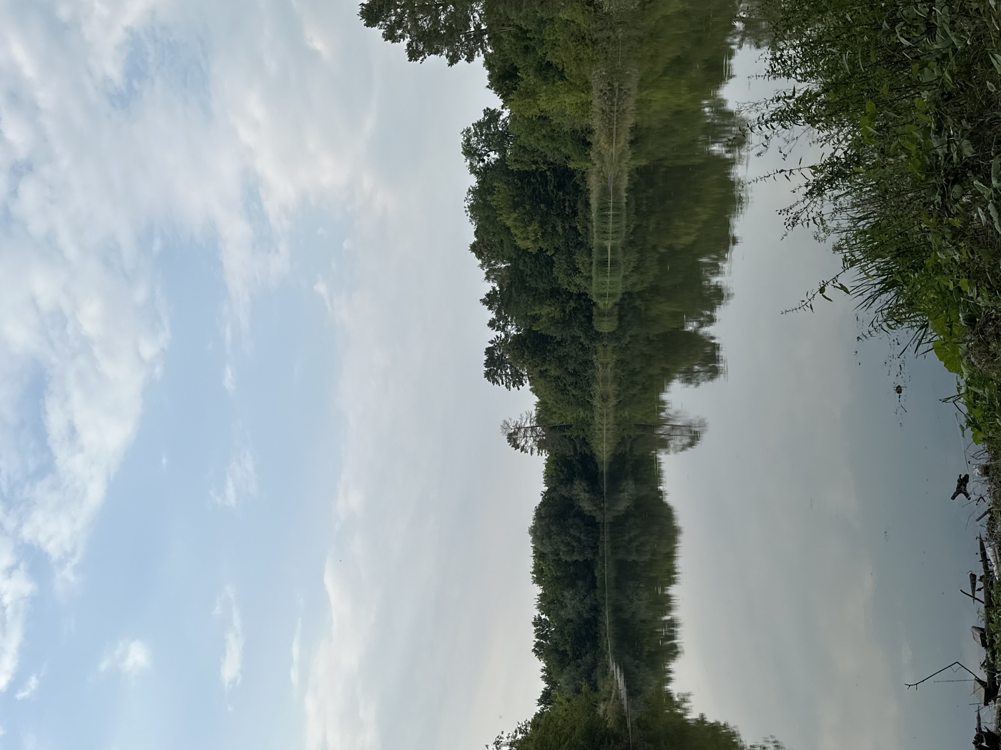 The image depicts a tranquil lake bordered by a dense forest. The sky above is a pale blue, dotted with scattered white clouds. The calm surface of the lake perfectly reflects the trees and the sky, creating a mirror image. In the foreground, on the right bank, lush green vegetation grows, with some dried branches and debris visible on the left bank. The scene appears to be a natural landscape, possibly within or near the city of Makiv, Ukraine, given the context of the prompt. There are no people or animals visible in the frame, and no discernible actions or interactions are taking place. The environment is characterized by its natural beauty and stillness.
