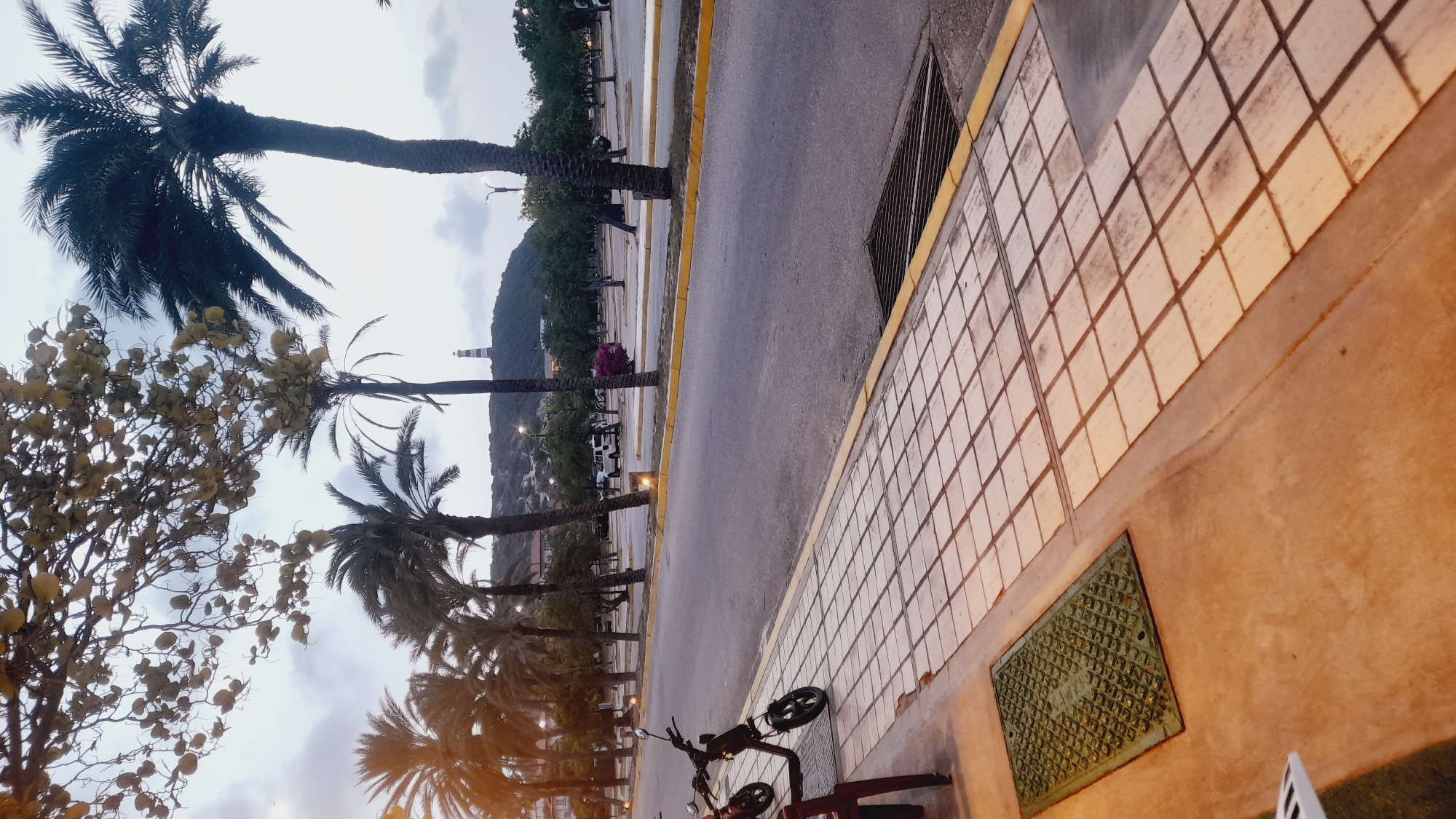 The image depicts a street scene in Pedro González, Venezuela. In the foreground, a sidewalk is tiled with light-colored squares. A dark green manhole cover is visible on the left side of the sidewalk. To the right of the sidewalk is a paved road with a yellow line marking its edge. On the road, two electric scooters are parked, one black and one red. In the background, a row of palm trees lines the street, with more trees and a parking lot beyond. A lighthouse is visible on a hill in the distance, topped with buildings and vegetation. The sky is overcast.